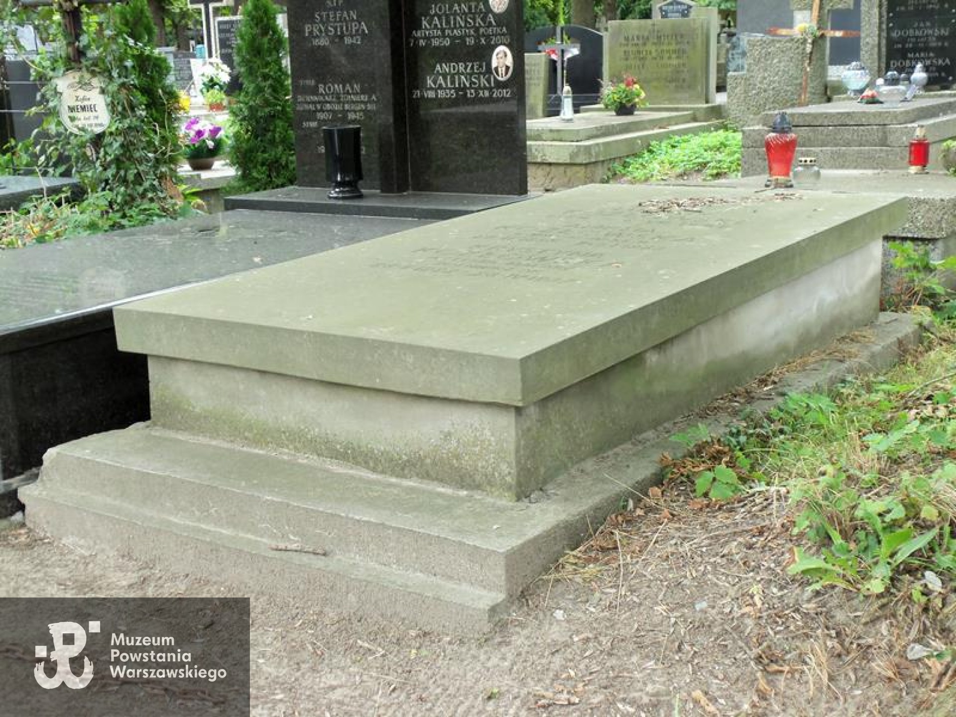 Cmentarz Powązkowski w Warszawie (Stare Powązki), kwatera 146, rząd 6, grób 8. Fot. Warszawskie Zabytkowe Pomniki Nagrobne:  serwis mapowy m. st. Warszawy: <i>cmentarze.um.warszawa.pl</i>