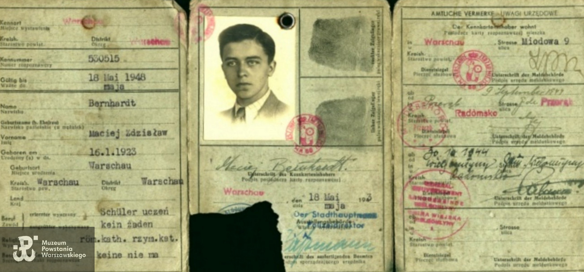 Kenkarta z okresu okupacji niemieckiej, dokument wystawiony około 1940 r.  Fot. z archiwum prywatnego p. Macieja Bernhardta