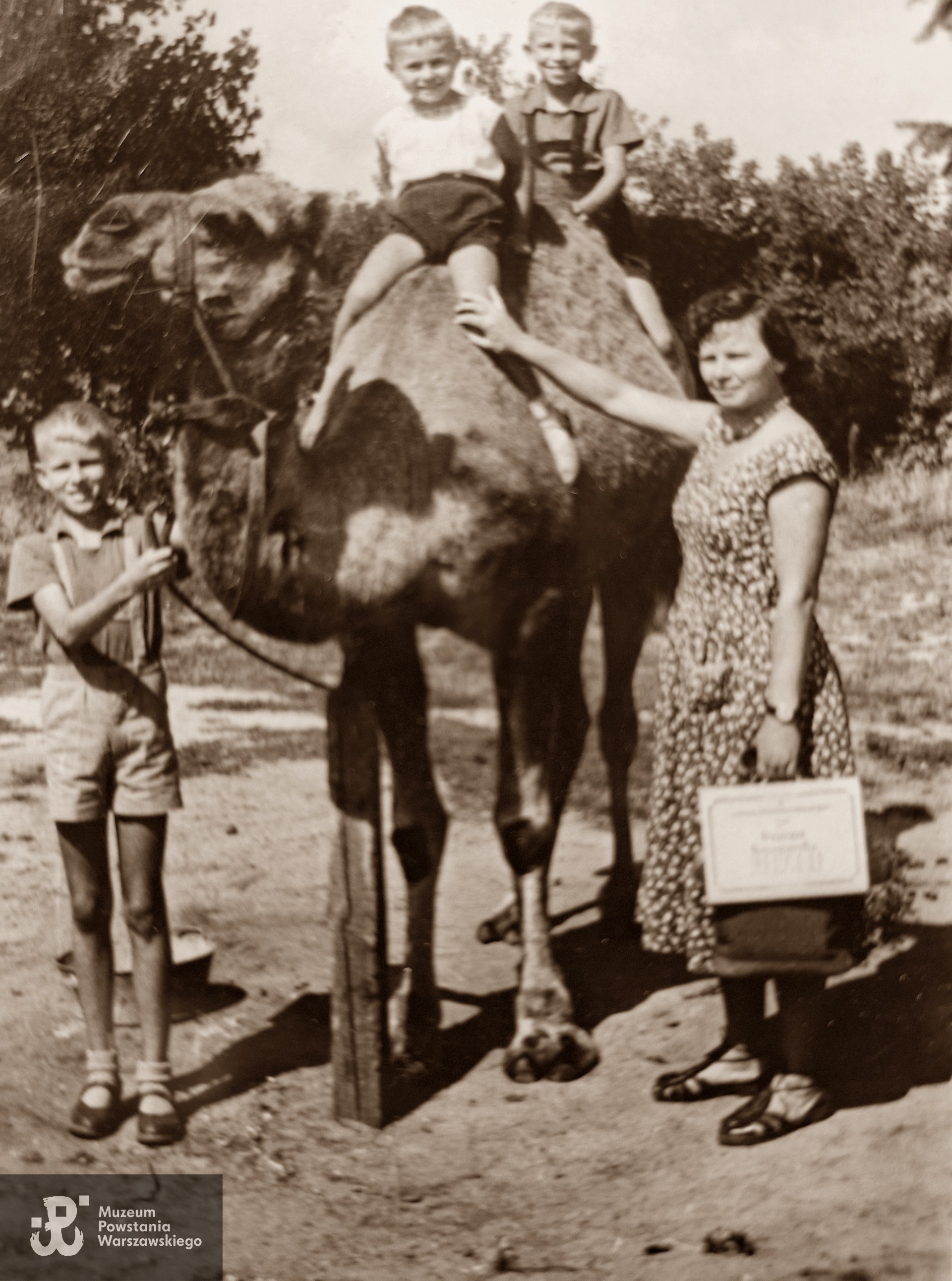  Fot. ze zbiorów rodzinnych p. Tadeusza Guranowskiego.