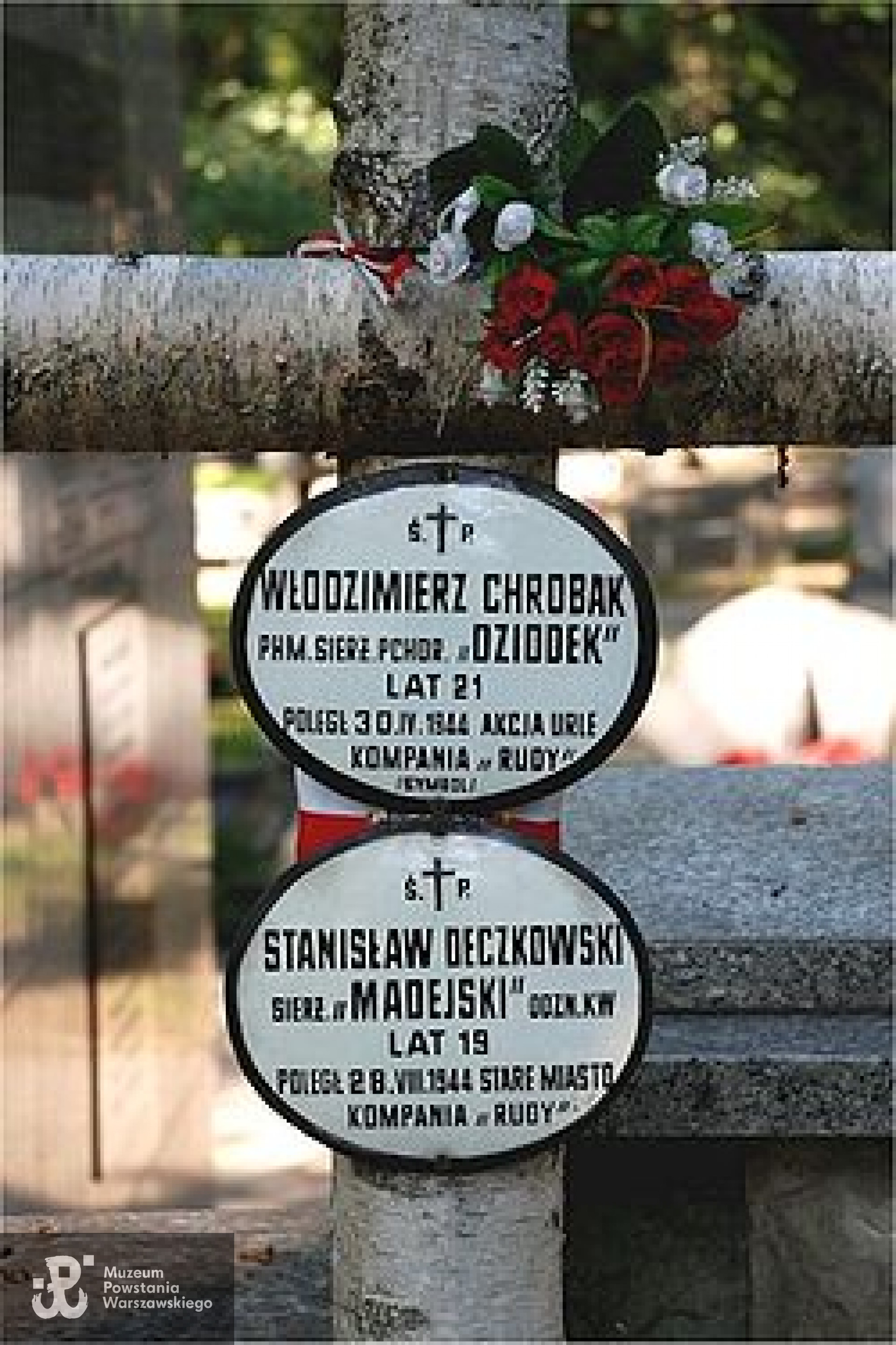 Mogiła na Powązkach Wojskowych w kwaterze batalionu "Zośka". <i>Źródło fot. Wikipedia</i>