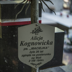 Grób Aliny Kognowickiej - stan w 2017 roku. Fot. MPW