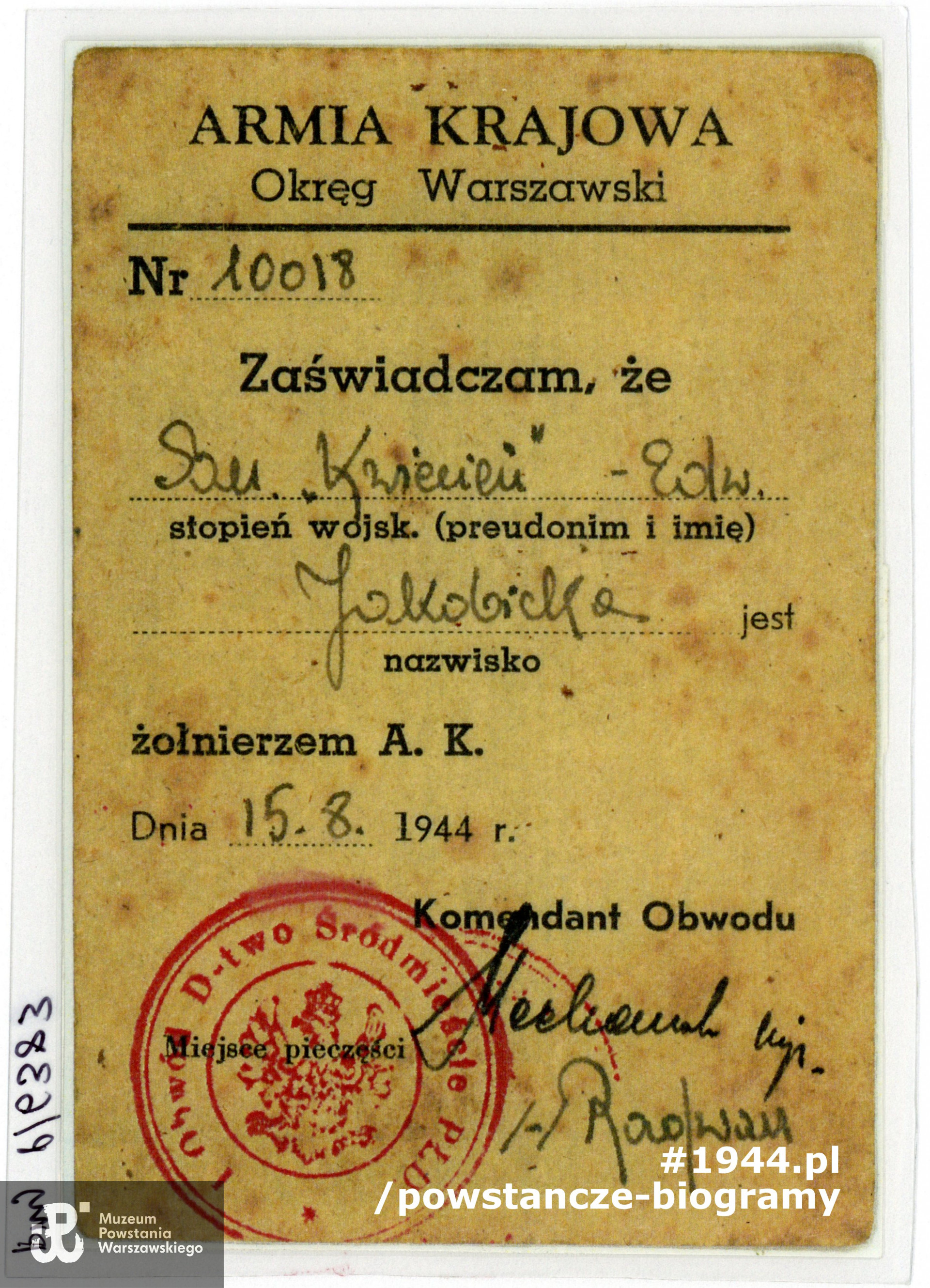 Kopa legitymacji sanitariuszki Edwardy Jakobickiej "Kwiecień". Ze zbiorów Muzeum Powstania Warszawskiego, przy P/6383