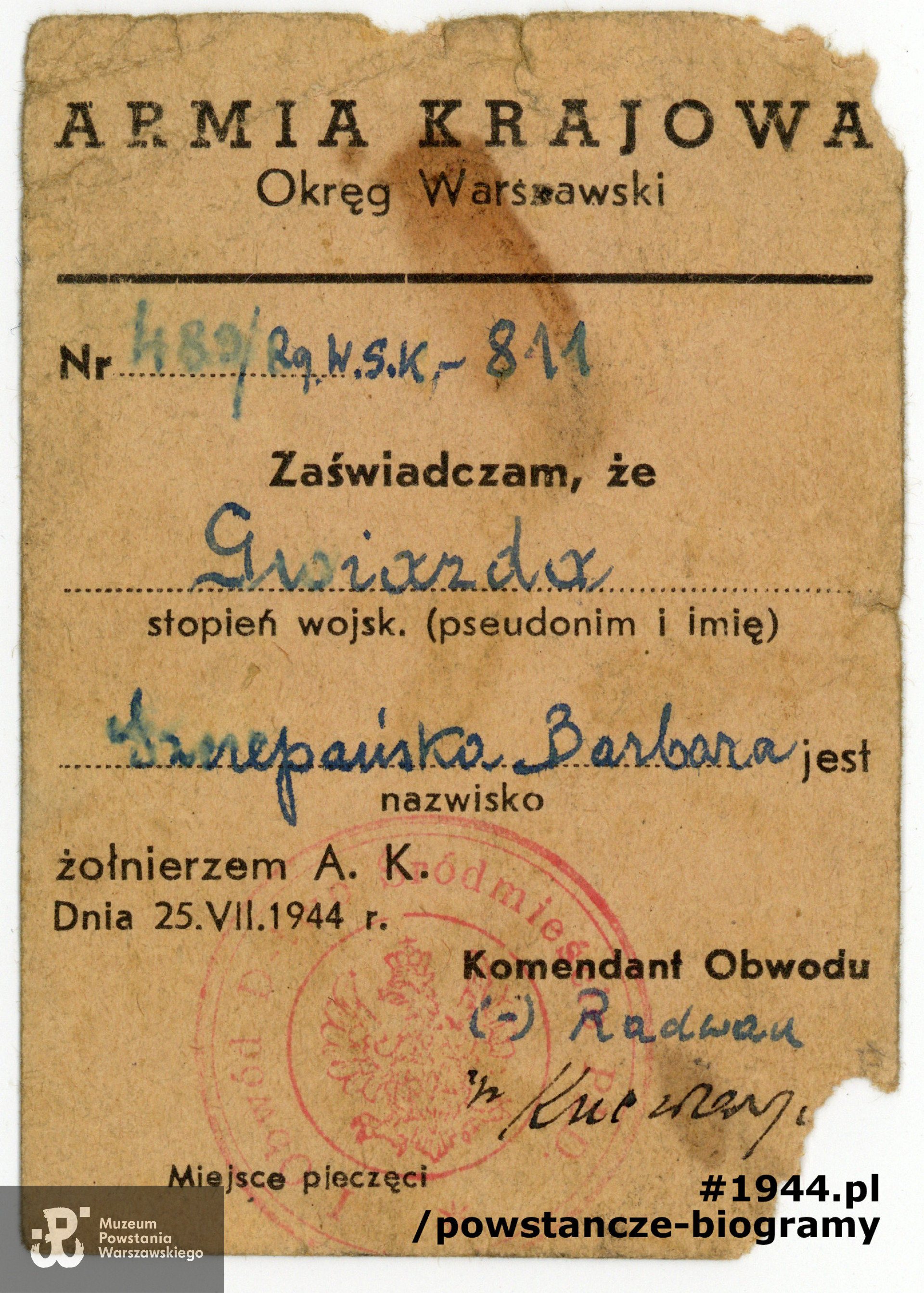 Należąca do Barbary legitymacja AK z okresu Powstania Warszawskiego. Ze zbiorów Muzeum Powstania Warszawskiego, sygn. P/4362