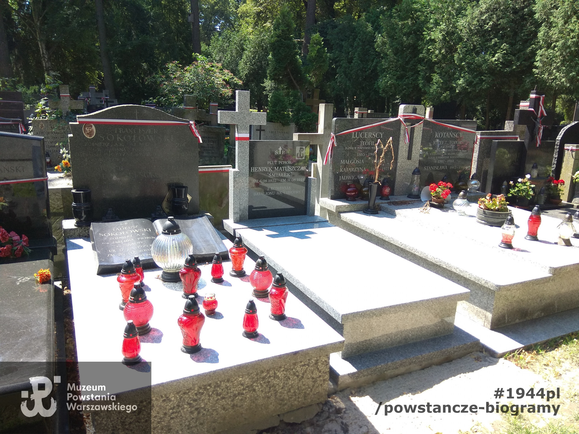 Mogiła po renowacji dokonanej przez Muzeum Powstania Warszawskiego, lipiec 2018 r. Fot. Krzysztof Mazur