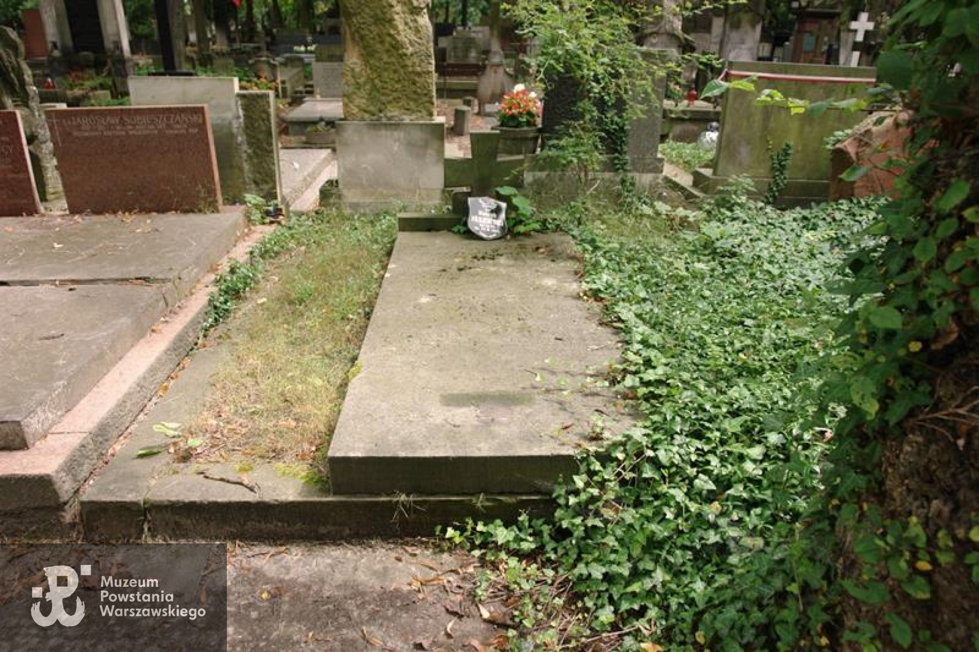 Cmentarz Powązkowski w Warszawie, kwatera 234, rząd 5, grób 5-6. Fot. Warszawskie Zabytkowe Pomniki Nagrobne:  <i>cmentarze.um.warszawa.pl</i>