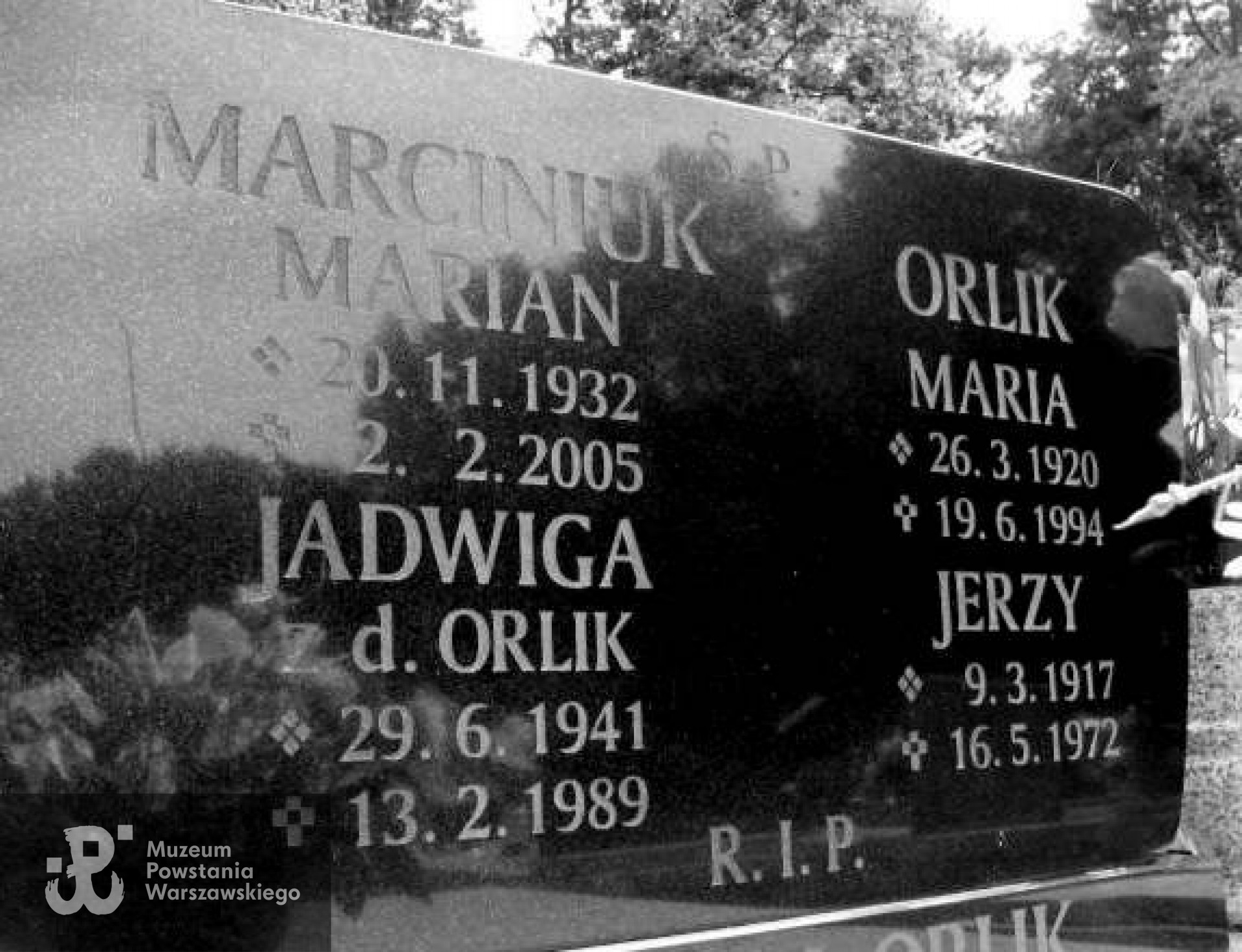 Grób rodziny Orlików  (Cmentarz Komunalny w Gliwicach Łabędy) Fot. z serwisu grobonet.com