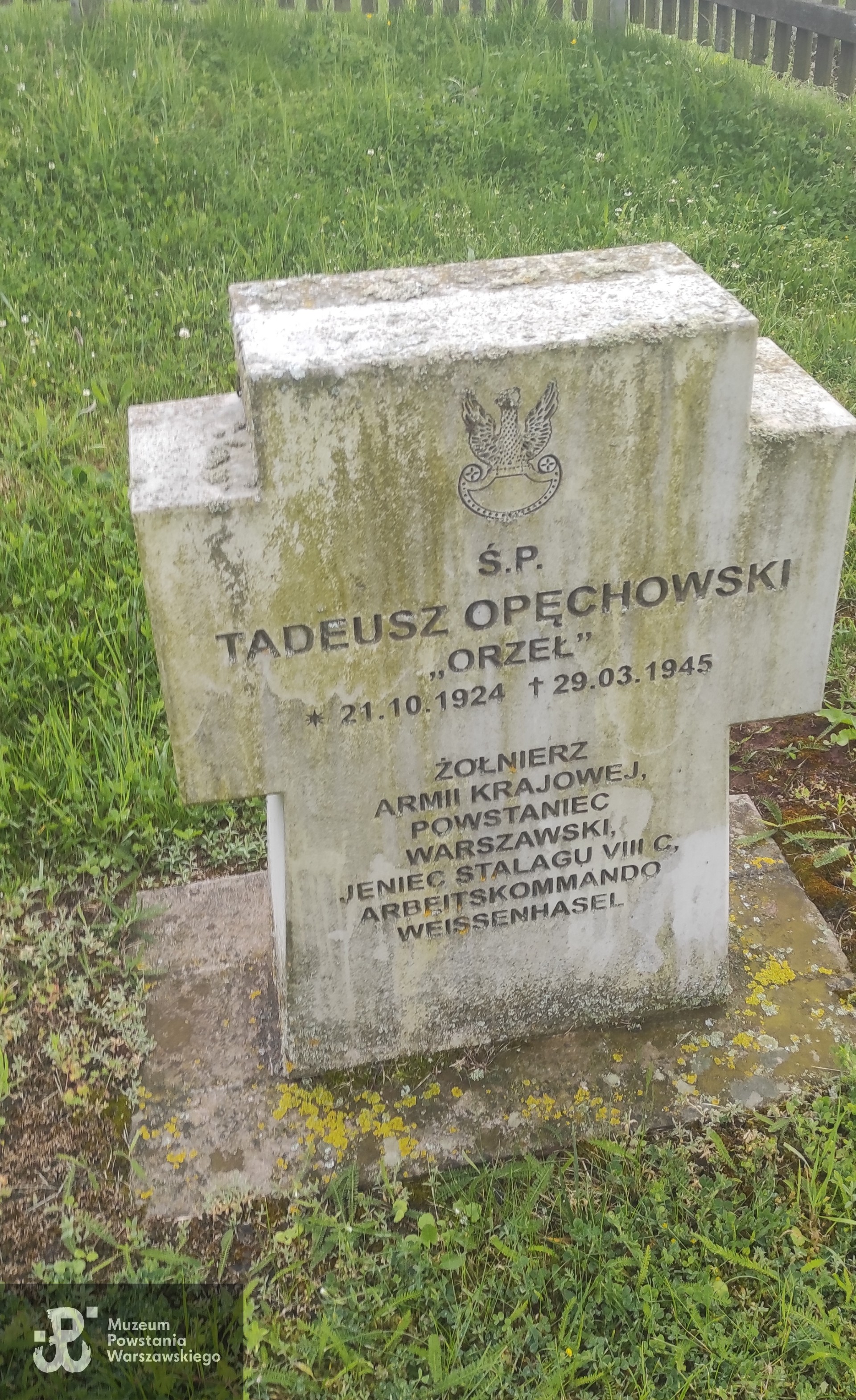 Fot. udostępnił p. Adam Rzewucki 