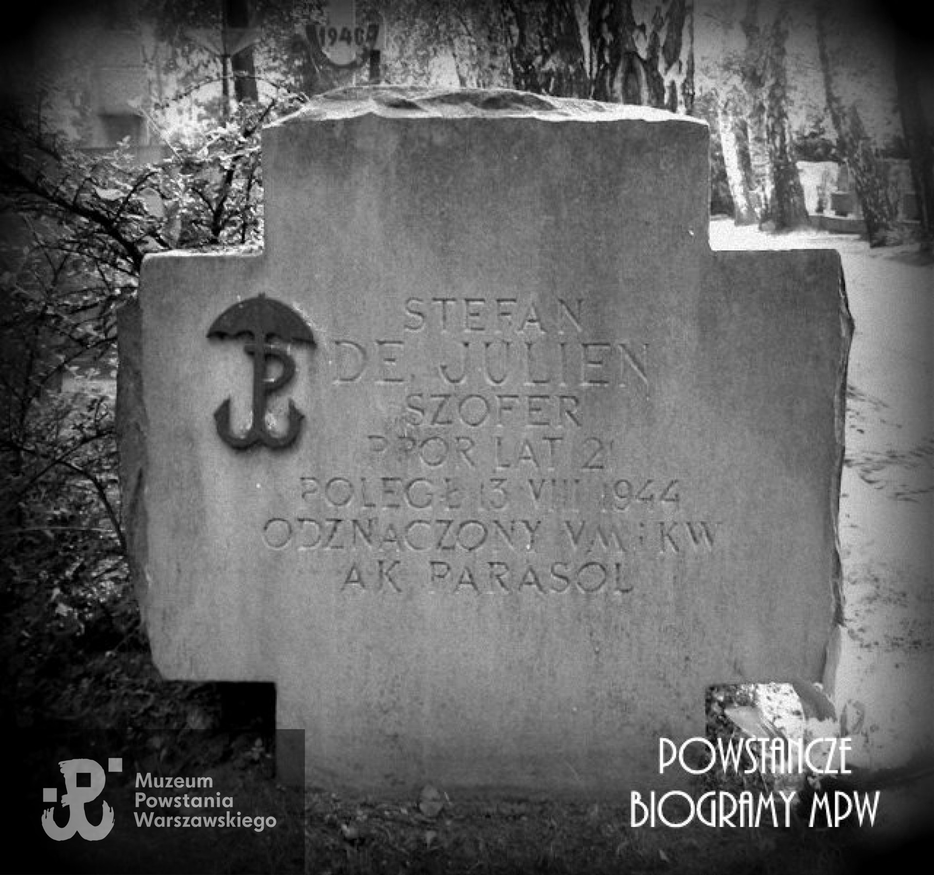 Mogiła Stefana de Julien. Warszawa, Cmentarz Wojskowy na Powązkach, kwatera "Parasola" - widok obecny.