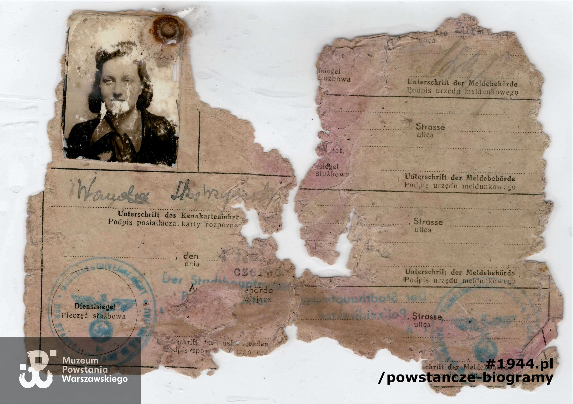 Dokumenty Wandy znalezione luzem w kanale burzowca przy ul. Agrykola, obecnie w zbiorach Muzeum Powstania Warszawskiego