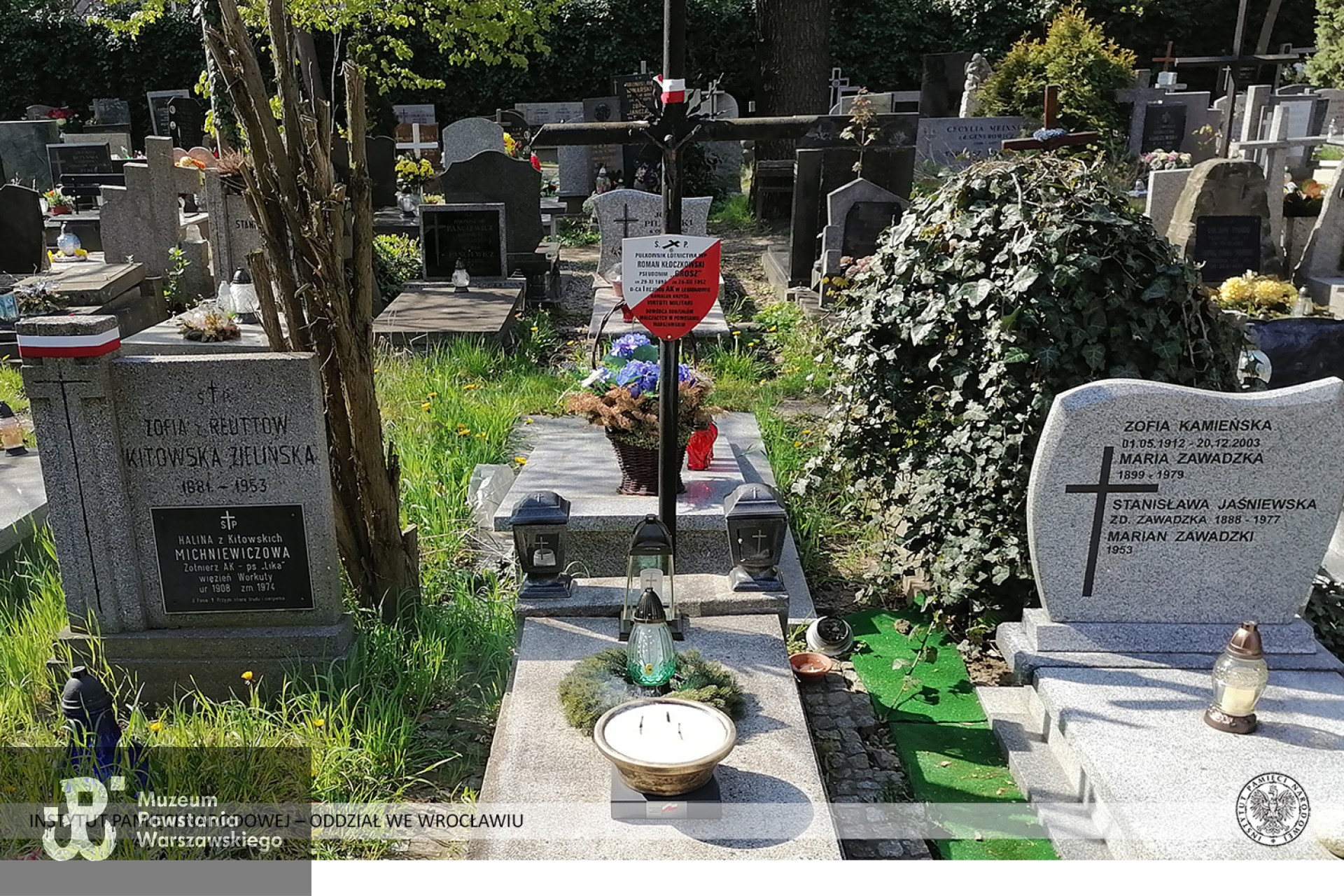 Cmentarz św. Wawrzyńca, ul. Odona Bujwida 51, 50-345 Wrocław Pole 1 Aleja główna, grób nr 199. Fot. IPN Oddział we Wrocławiu