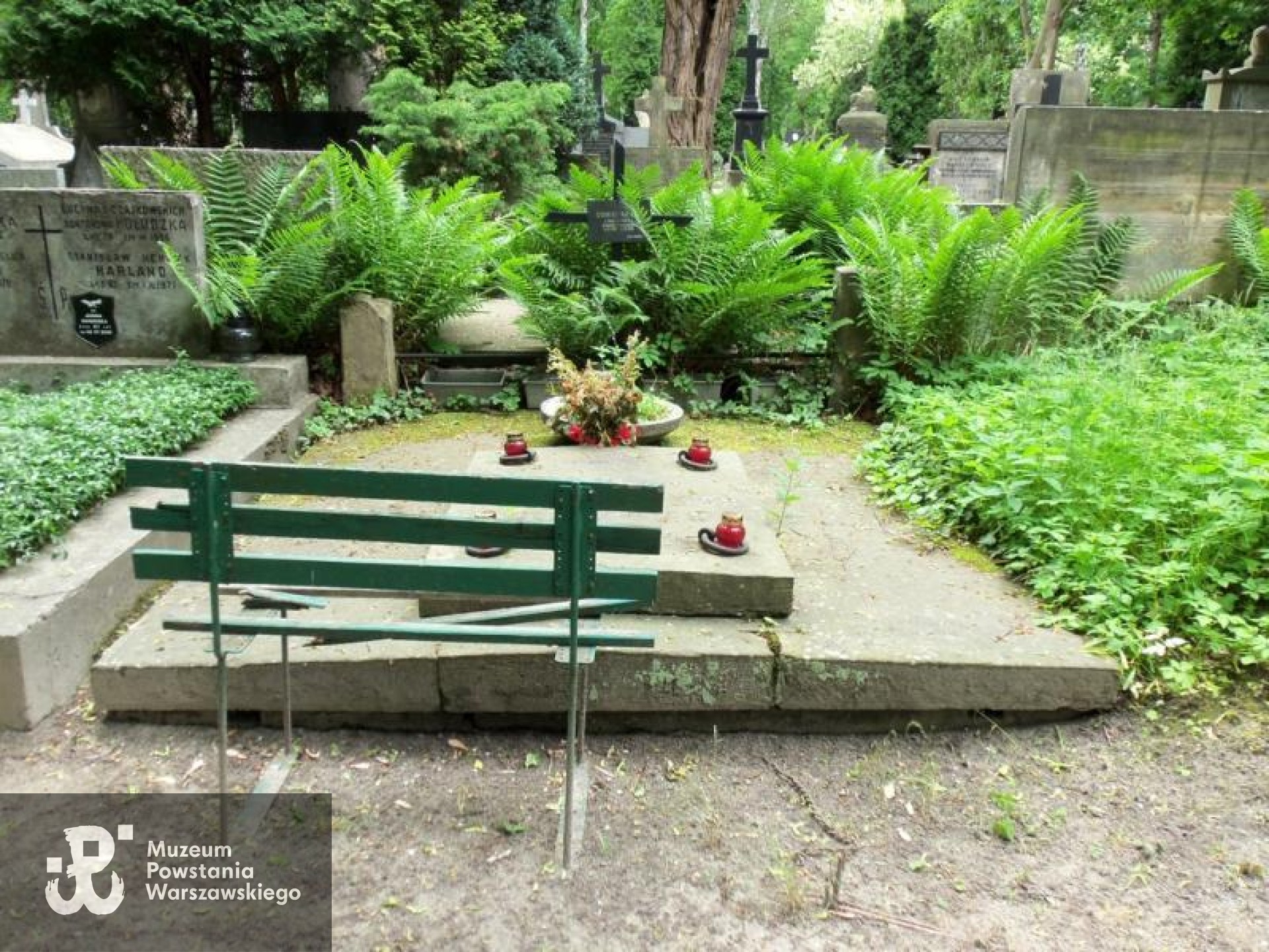 Cmentarz Powązkowski w Warszawie (Stare Powązki), kwatera  41, rząd 1, gr. 25-26. Fot. Warszawskie Zabytkowe Pomniki Nagrobne:  serwis mapowy m. st. Warszawy: <i>cmentarze.um.warszawa.pl</i>