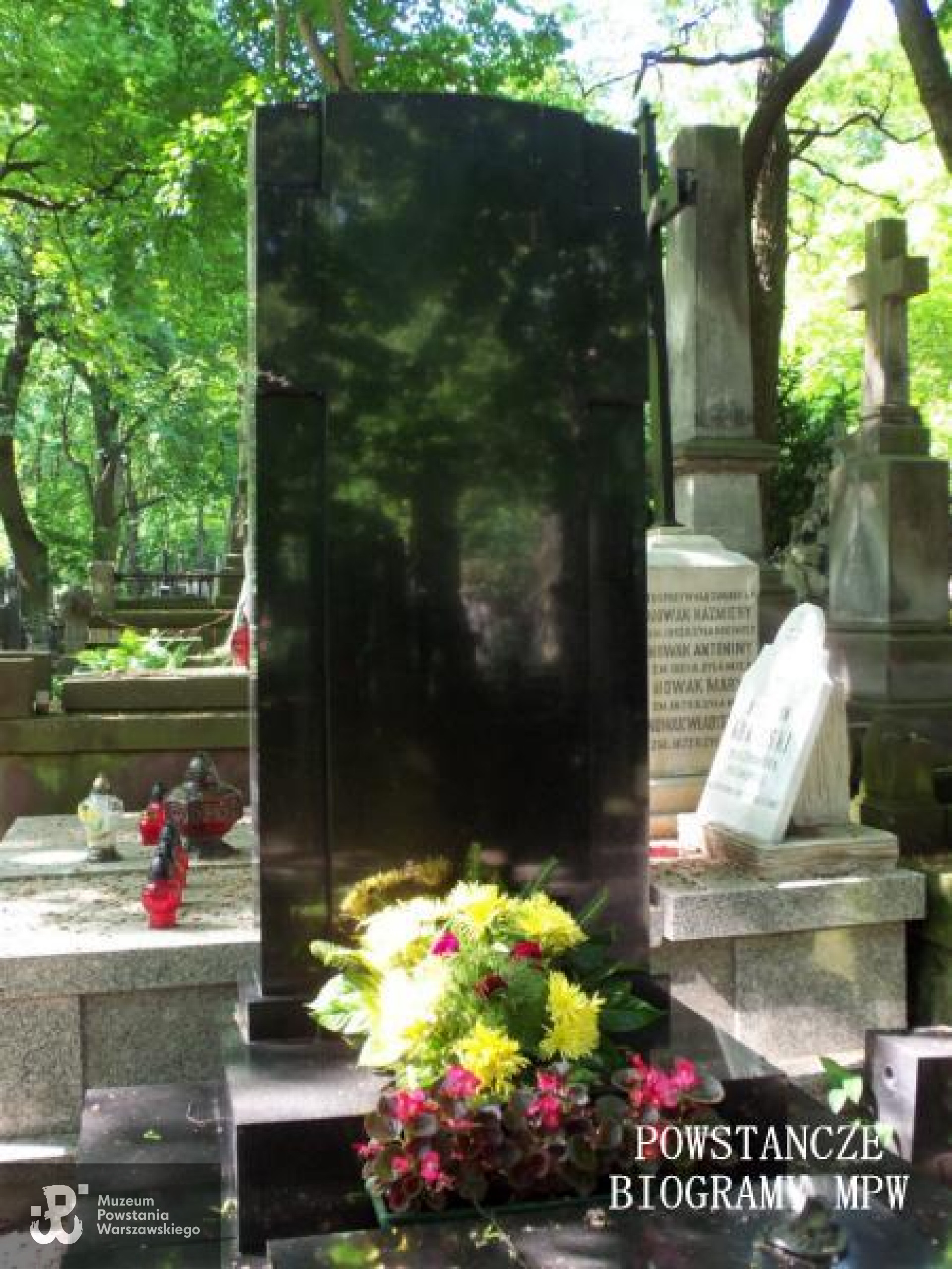 Grób rodziny Anderszewskich na Starych Powązkach w Warszawie - miejsce pochówku Otylii Wanat-Anderszewskiej. Fot. <i>cmentarze.um.warszawa.pl </i>