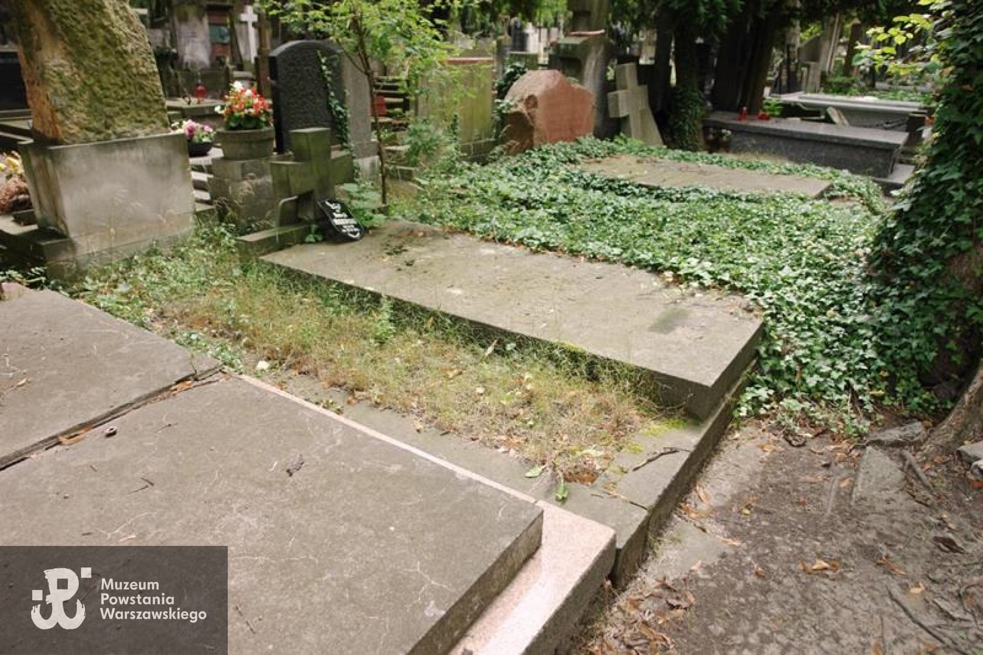 Cmentarz Powązkowski w Warszawie, kwatera 234, rząd 5, grób 5-6. Fot. Warszawskie Zabytkowe Pomniki Nagrobne:  <i>cmentarze.um.warszawa.pl</i>