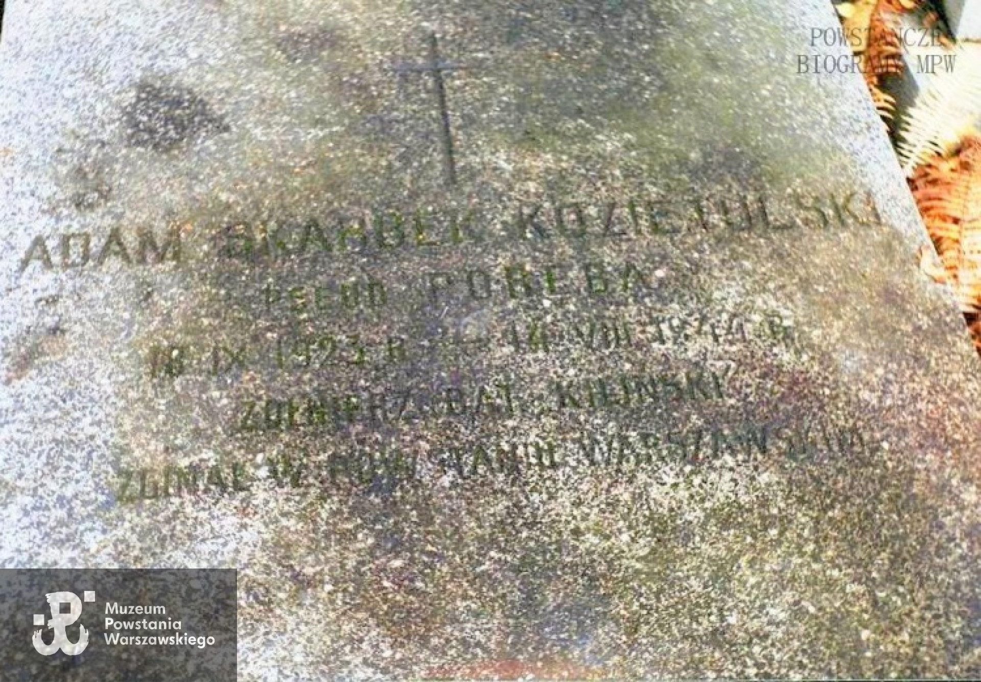 Cmentarz Wojskowy na Powązkach, kwatera A 22, rz. VI, grób 17. Fot. z  archiwum A. Dławichowskiego.