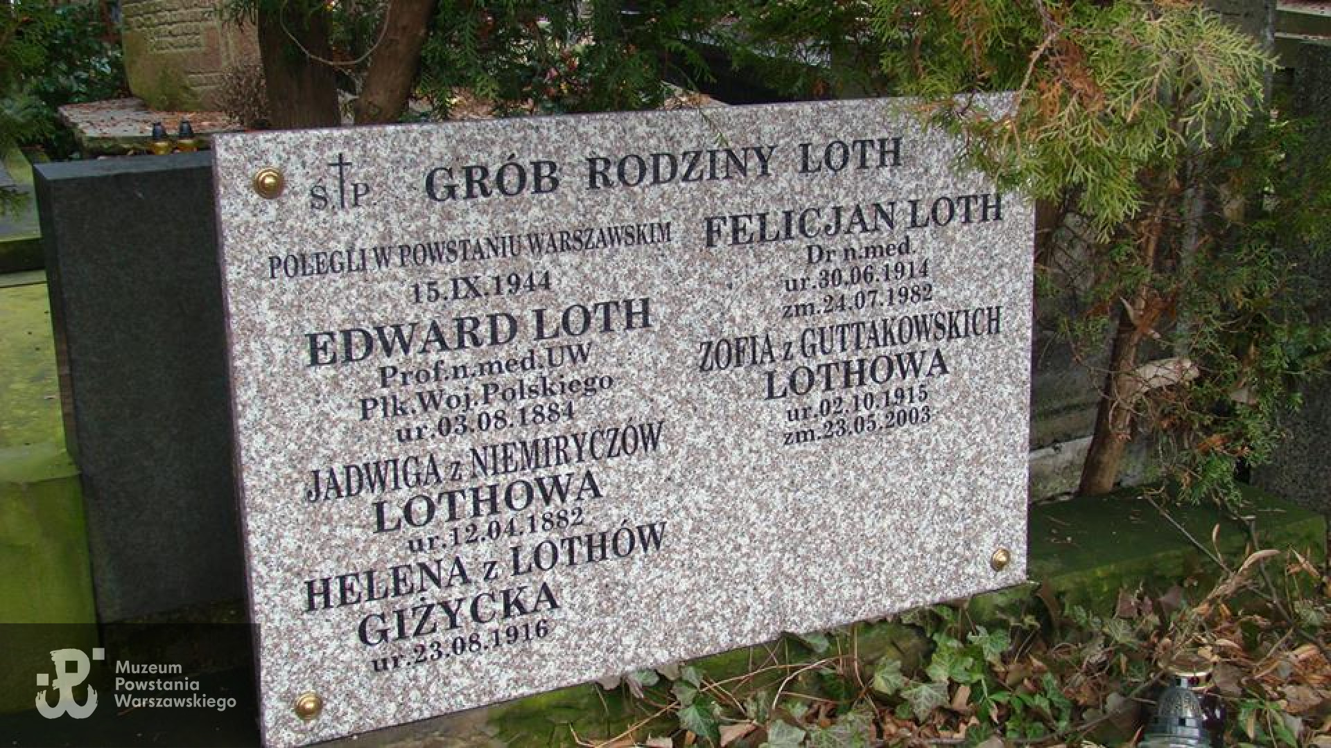 Powązki Wojskowe - miejsce pochowania Edwarda, Jadwigi, Heleny i Felicjana Lothów