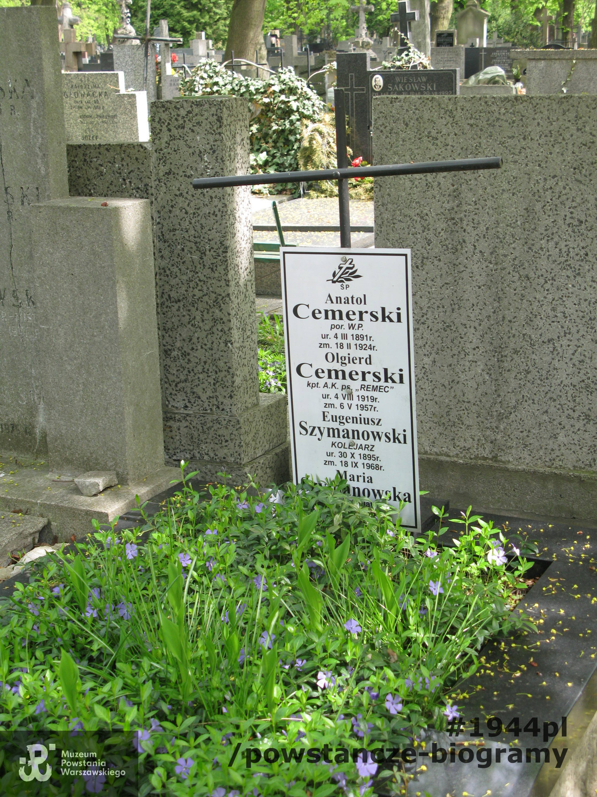 Mogiła na Cmentarzu Powązkowskim w Warszawie. Fot. udostępnił Jan Wawszczyk
