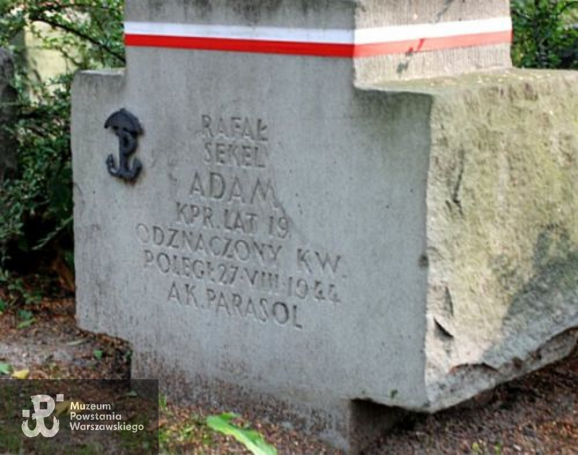 Powązki Wojskowe - kwatera "Parasola". Fot. udostępnione przez Magdalenę Ciok
