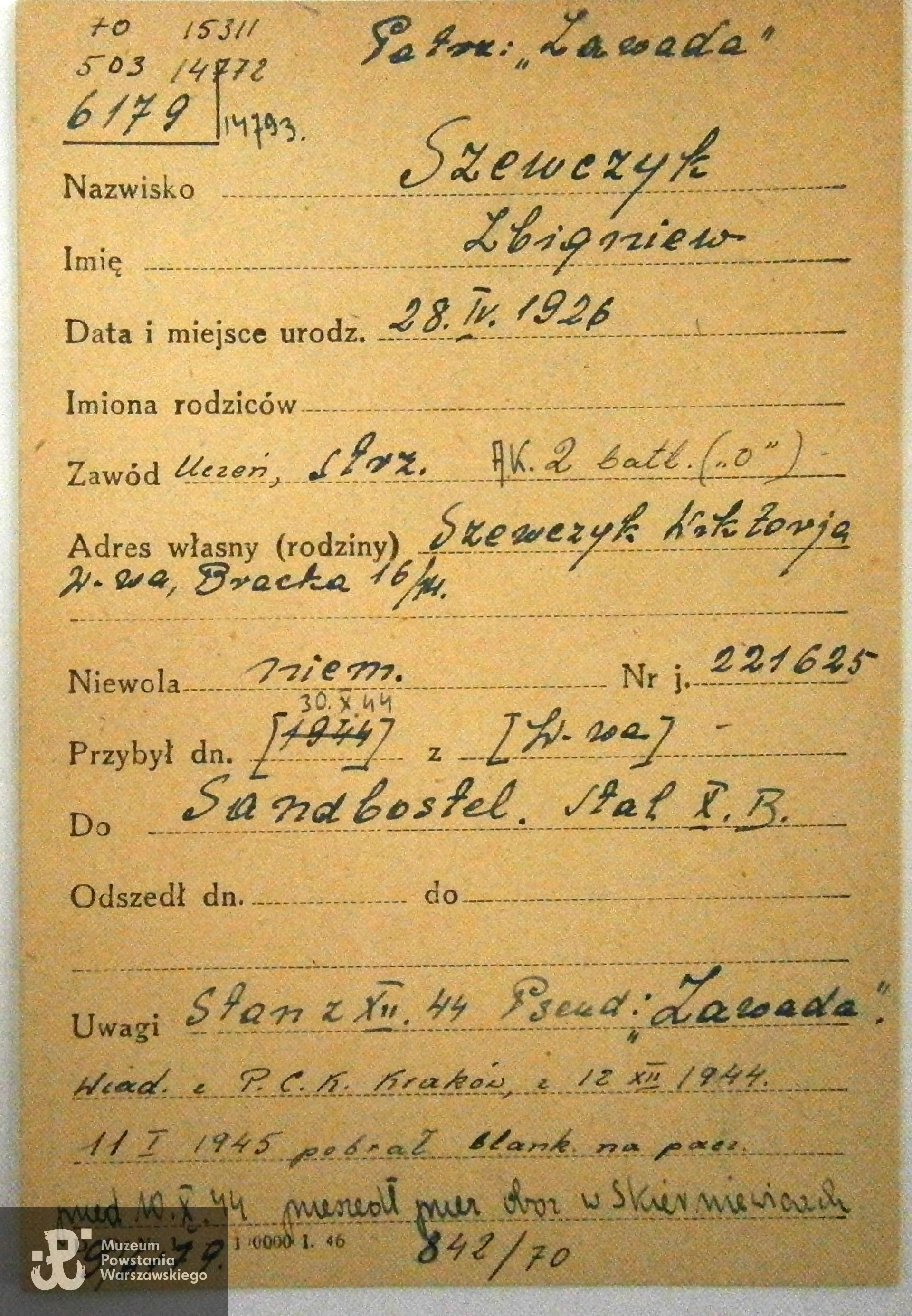 Polski Czerwony Krzyż - kartoteka