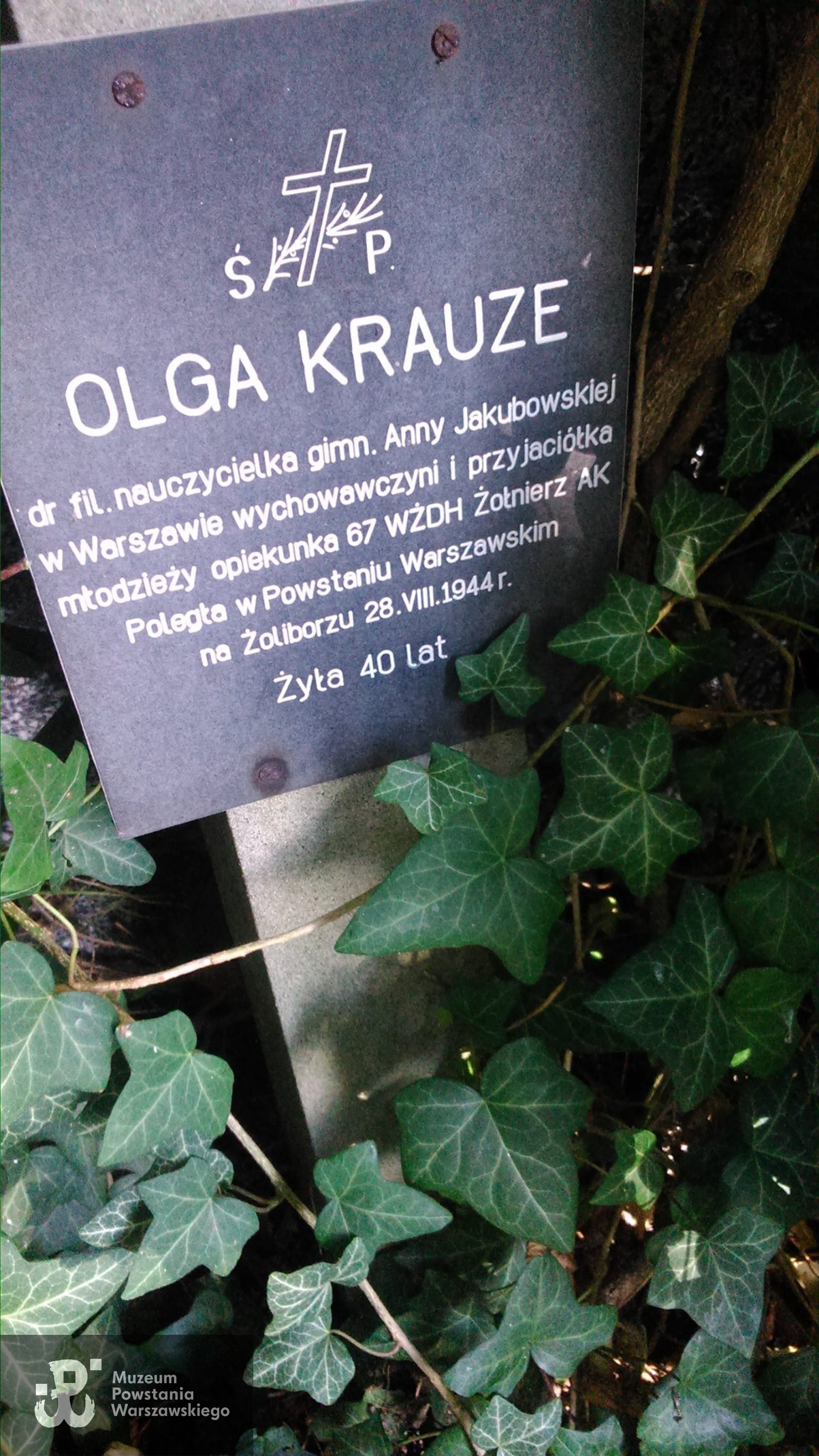 Fot. Beata Trzcińska