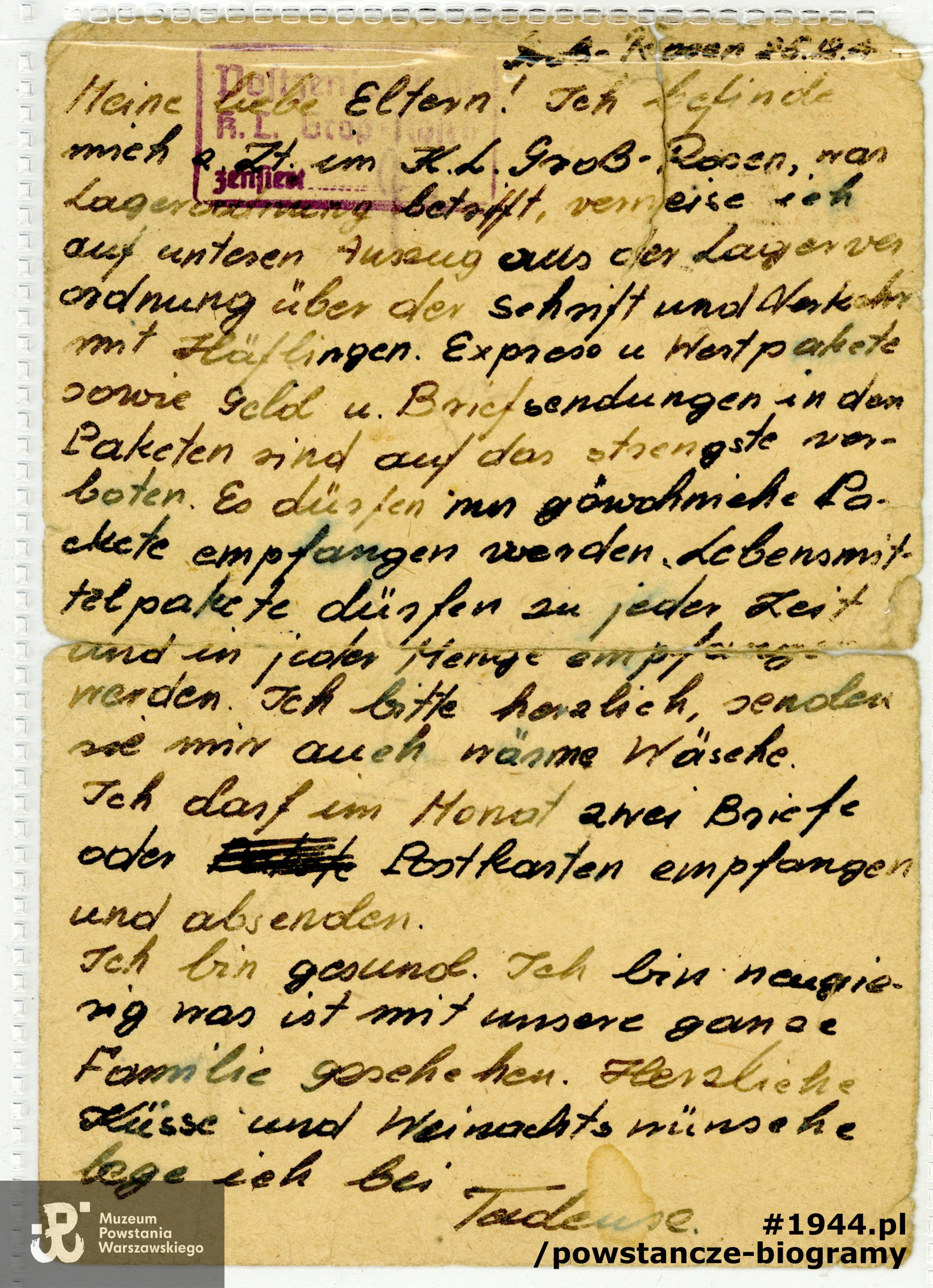 Ostatnie listy Tadeusza do rodziny pisane z KL Gross-Rosen - styczeń 1945. Z archiwum rodzinnego