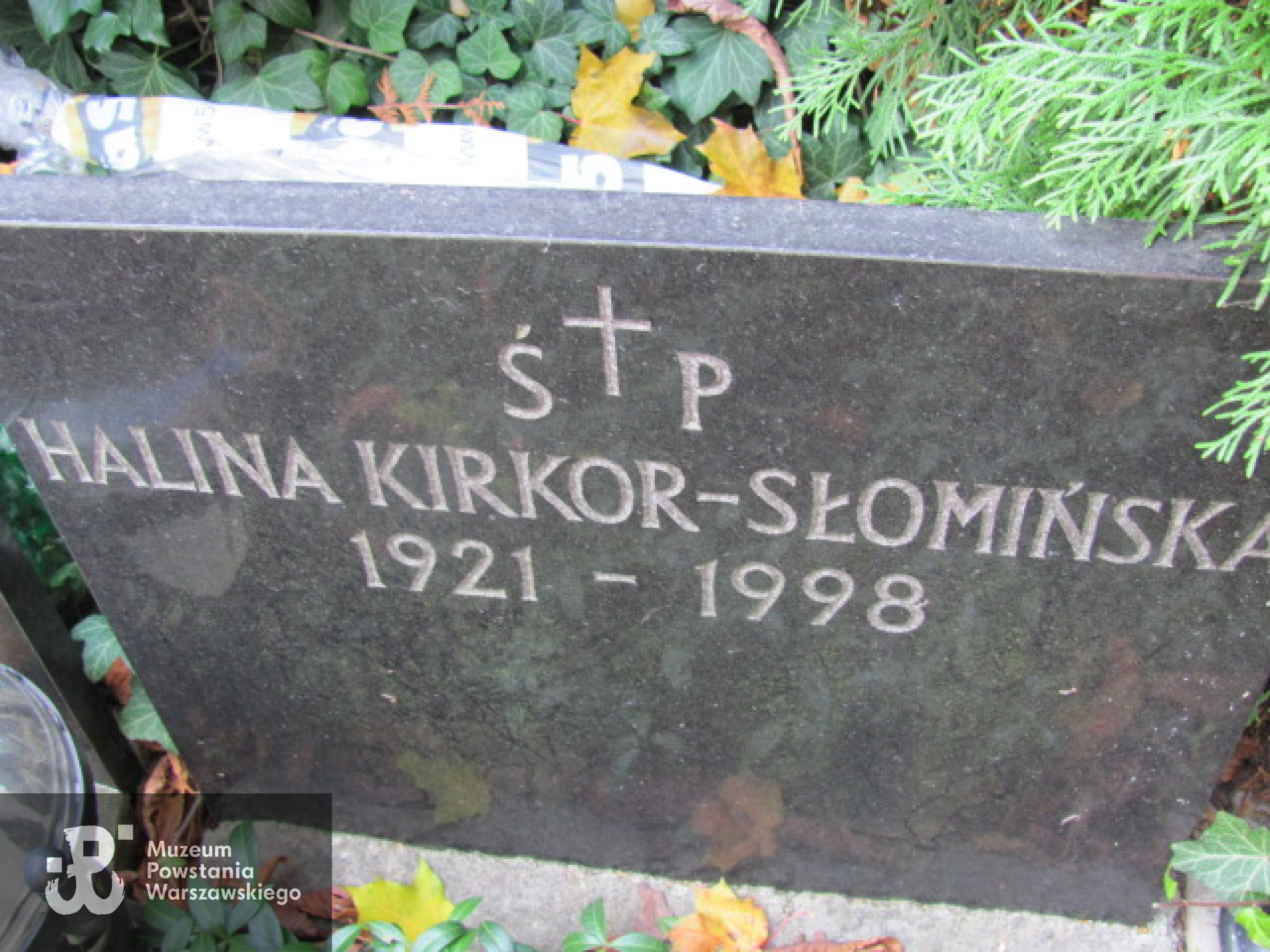 Cmentarz Ewangelicko-Augsburski w Warszawie,  Al. 23, rząd 1, grób 7, źródło fot. : https://wawamlynarska.grobonet.com/grobonet