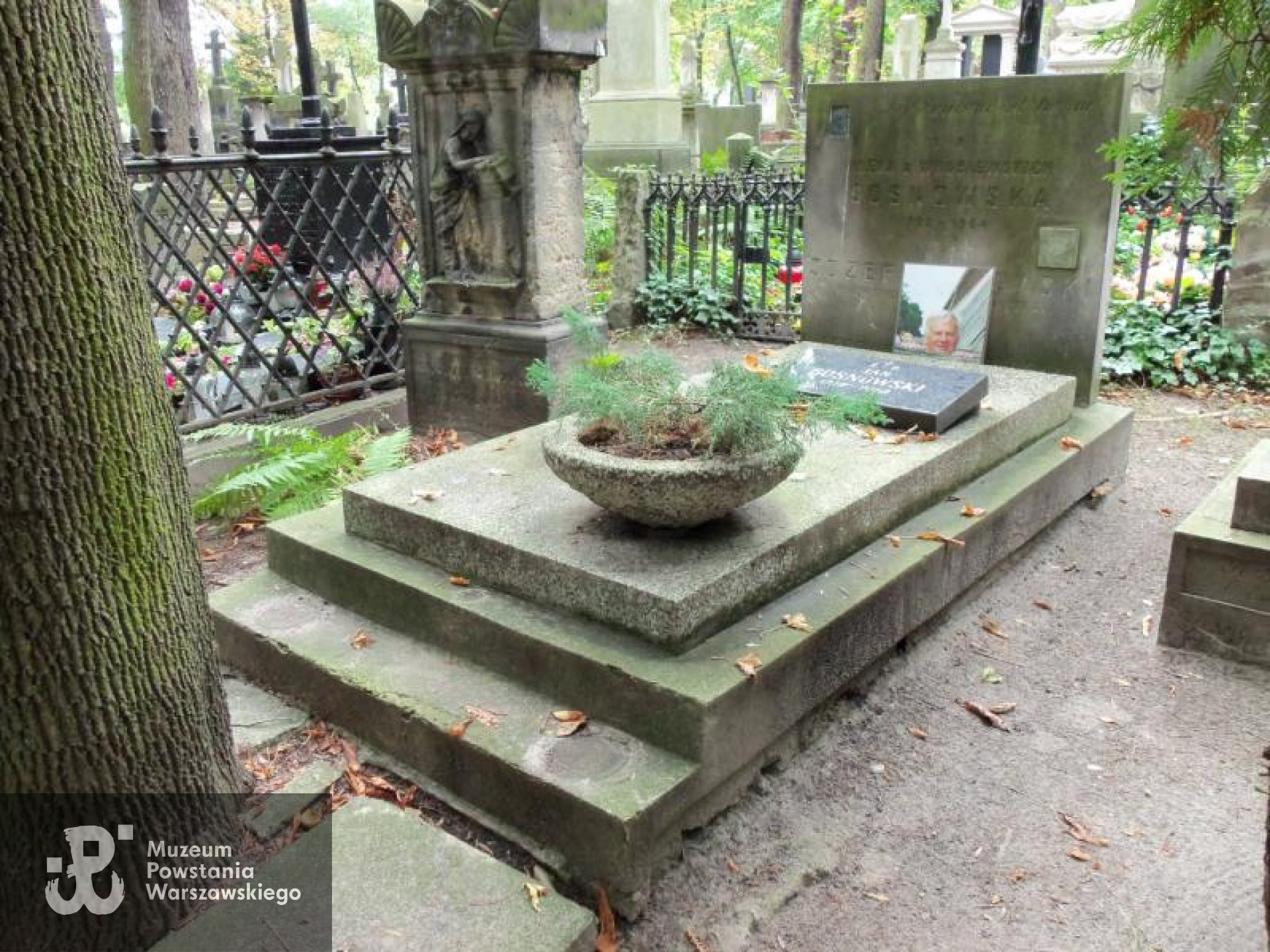 Cmentarz Powązkowski w Warszawie (Stare Powązki), w grobie rodzinnym, kwatera 8, rząd 8, grób 8.  Pochowany wraz z pierwszą żoną Ireną. 