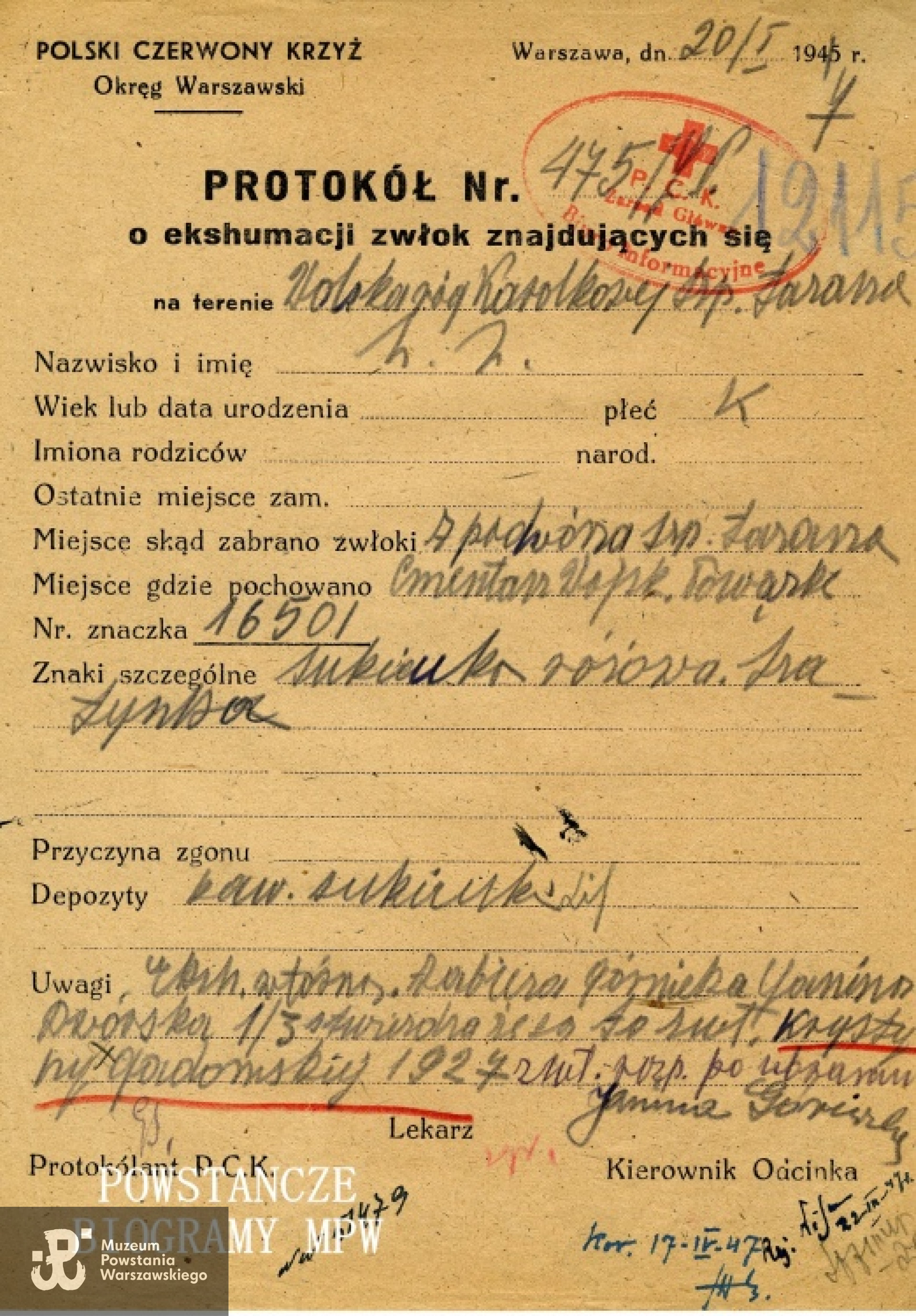 Protokół ekshumacyjny PCK. Fot. MPW