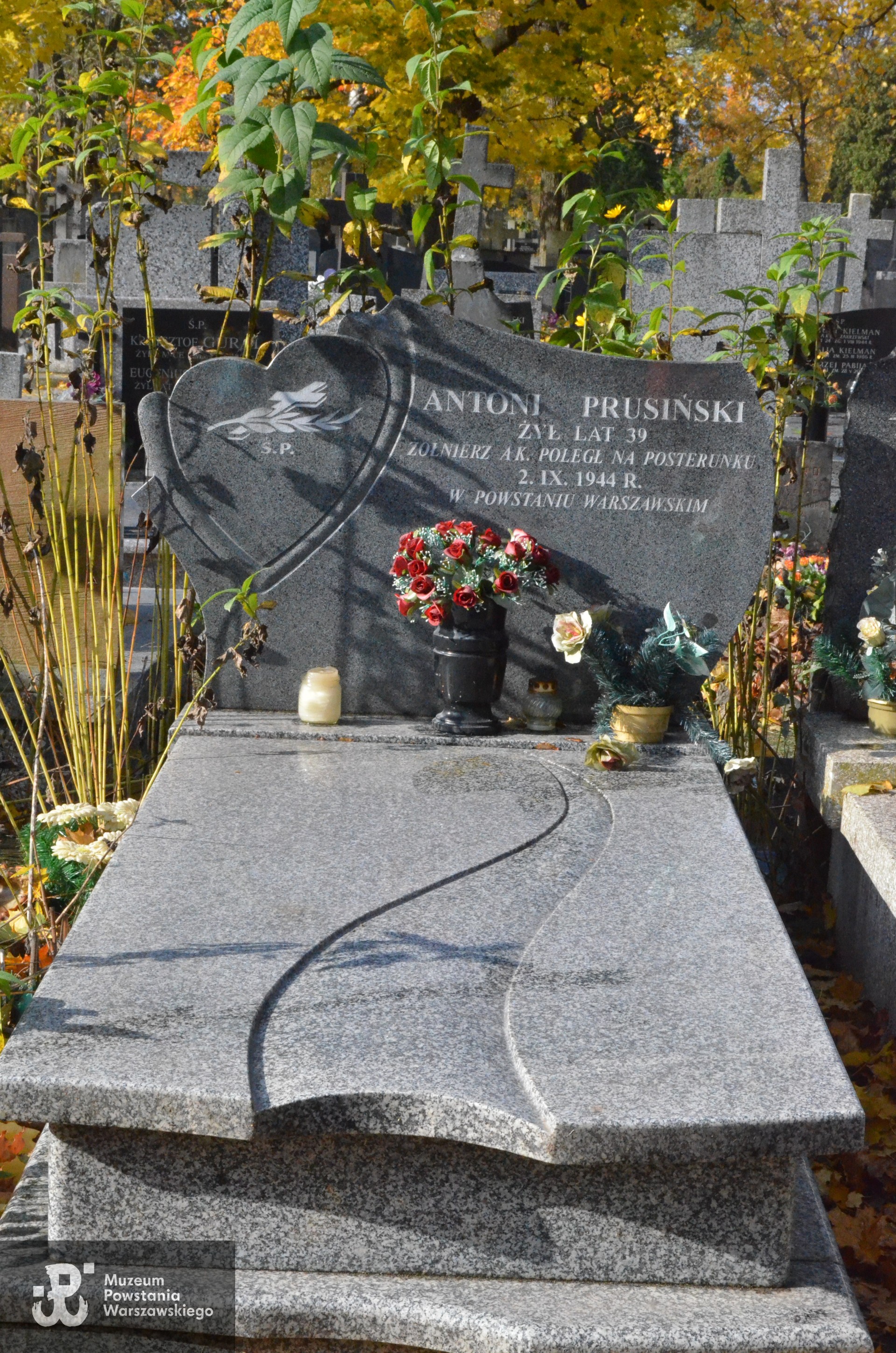 Cmentarz Bródnowski w Warszawie, kwatera 36 B, rząd 1, grób 17. Fot. Baza Grobów MPW