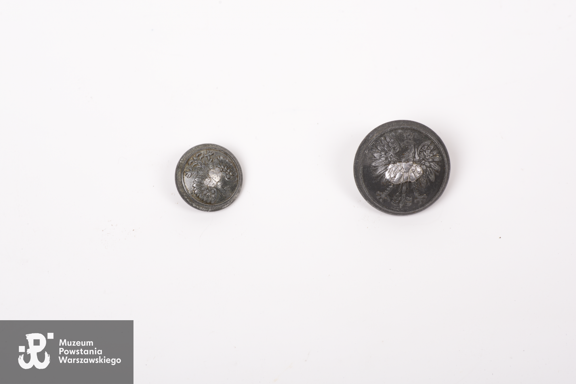 Guziki munduru Wojska Polskiego noszonego w obronie Warszawy 01-28.09.1939 roku przez kpr.  Walentego Danisa, żołnierza Armii Krajowej (Kedyw Kolegium C). Zbiory Muzeum Wojska Polskiego w Sydney, dar Mieczysława Danisa ps. Olgierd