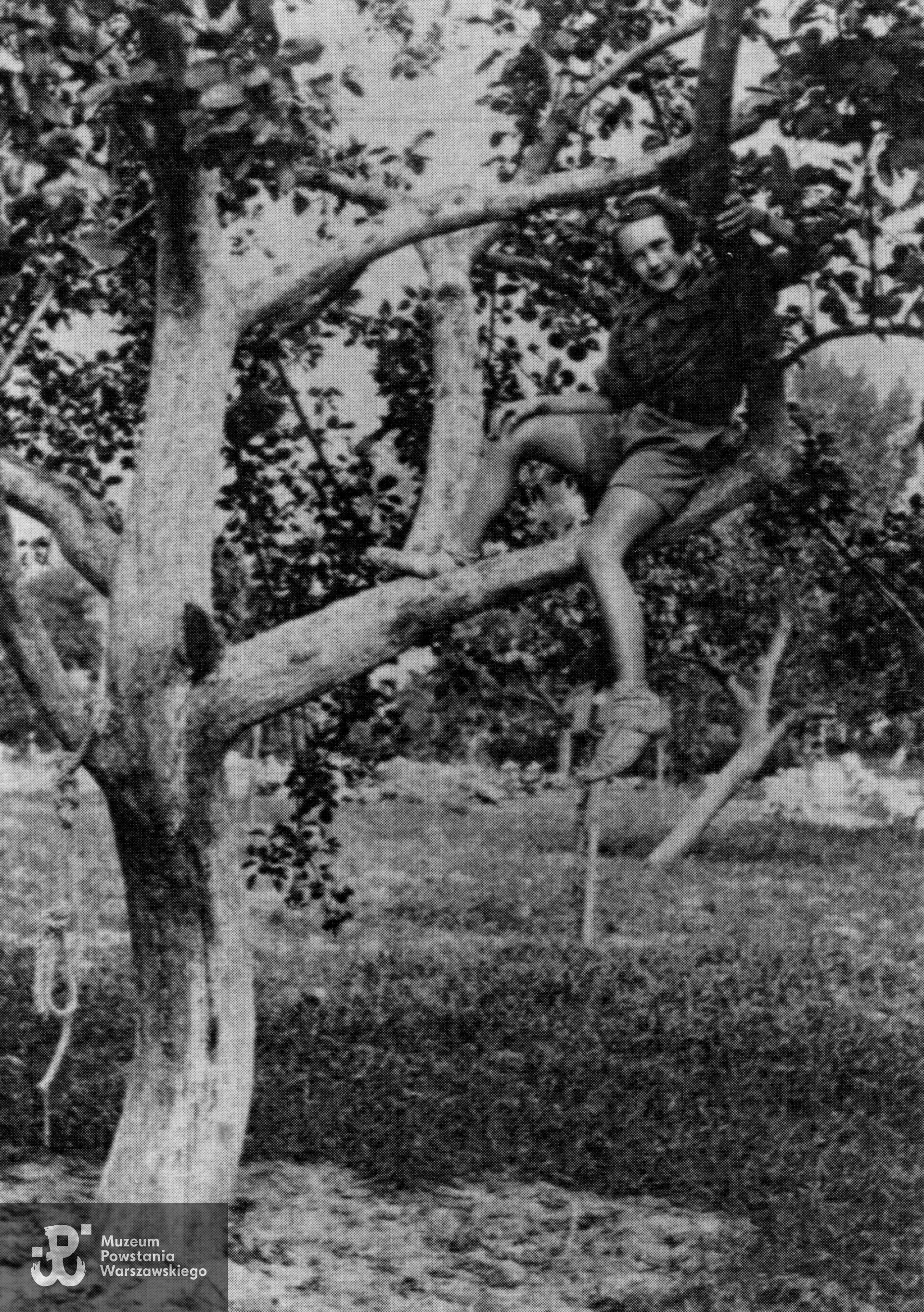 Fotografia wcześniejsza - Danuta Polakowska jako uczennica VI klasy szkoły powszechnej, tuż przed wybuchem II wojny światowej, w sierpniu 1939 roku.  Fot. z archiwum rodzinnego p. Danuty Żukowskiej z d. Polakowskiej ps. "Denny" - MPW-teczka/Pokój Kombatanta MPW
