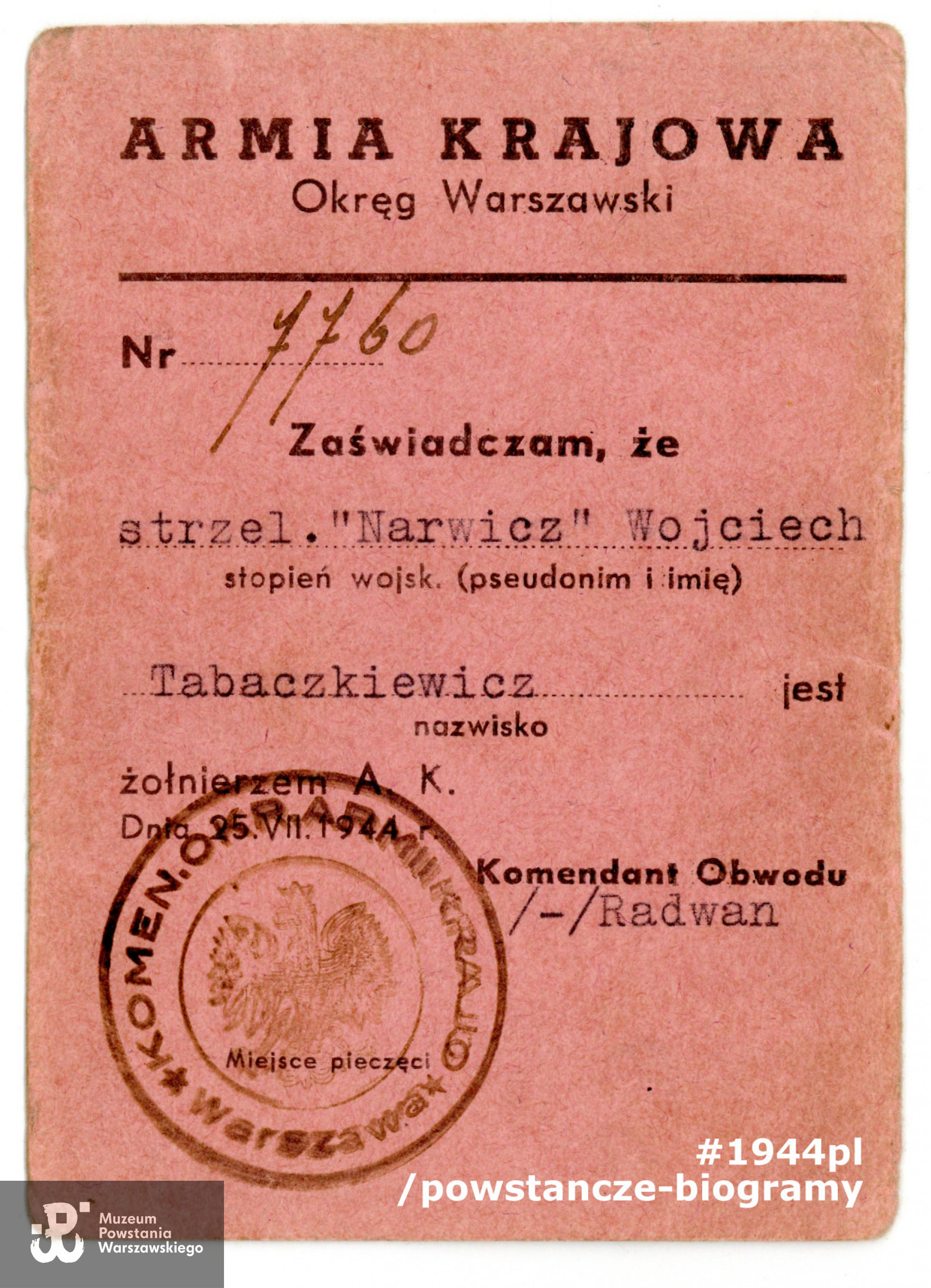 Legitymacja AK wystawiona na nazwisko Wojciech Tabaczkiewicz ps. "Narwicz".  Ze zbiorów Muzeum Powstania Warszawskiego, sygn. P/9080/18