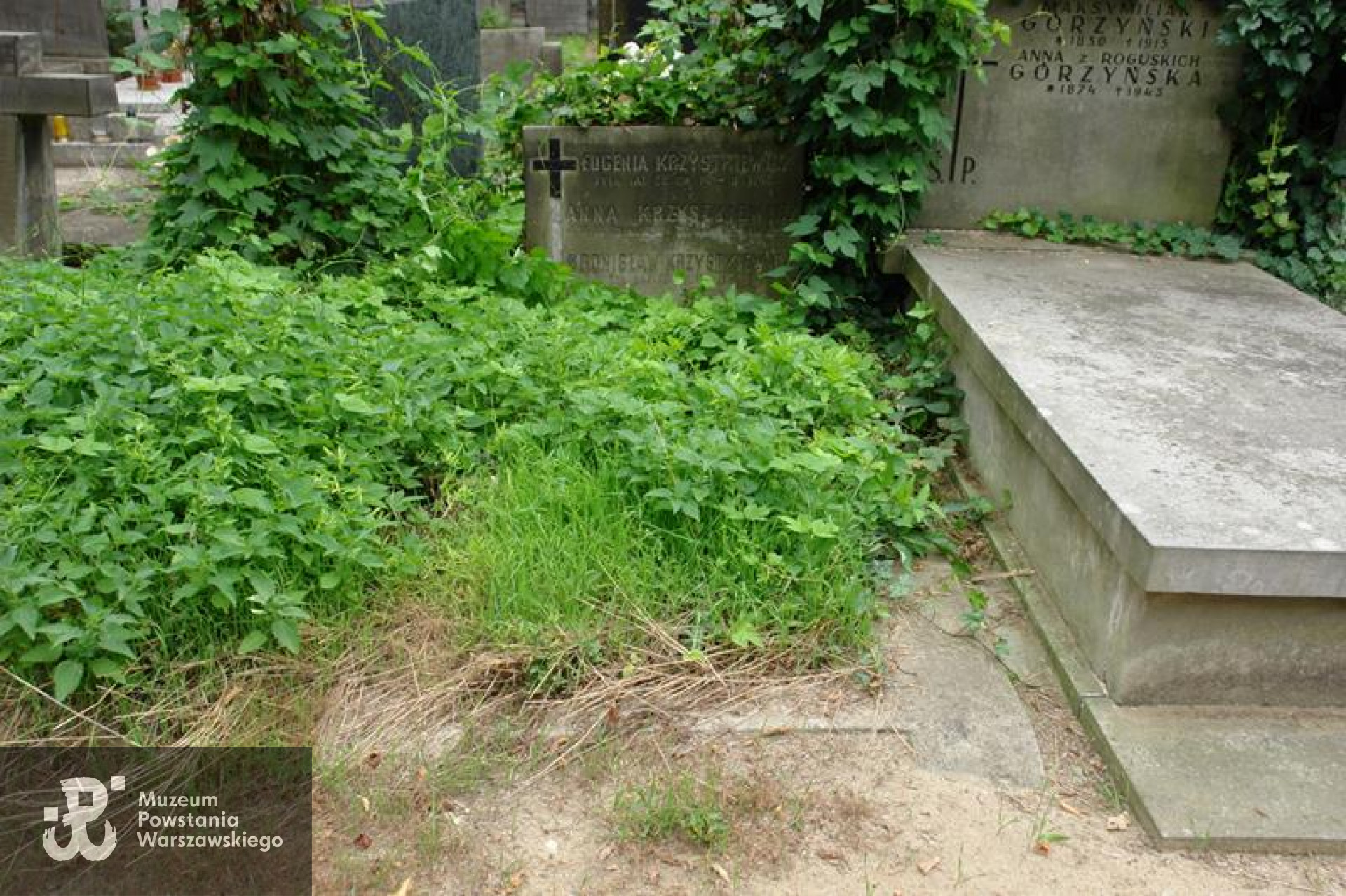 Fot. Warszawskie Zabytkowe Pomniki Nagrobne:  <i>cmentarze.um.warszawa.pl</i>