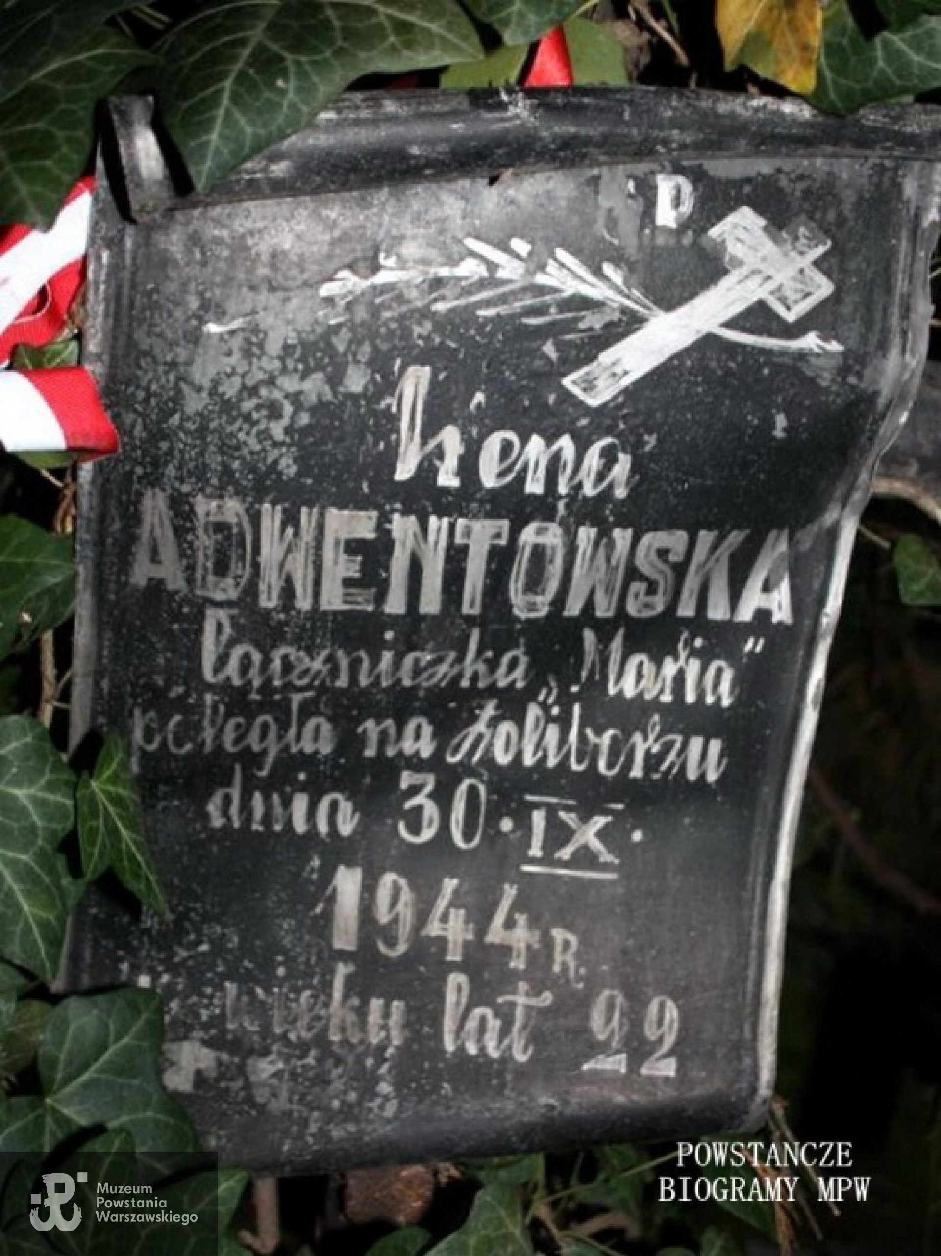 Fot. Elżbieta Jalowska.