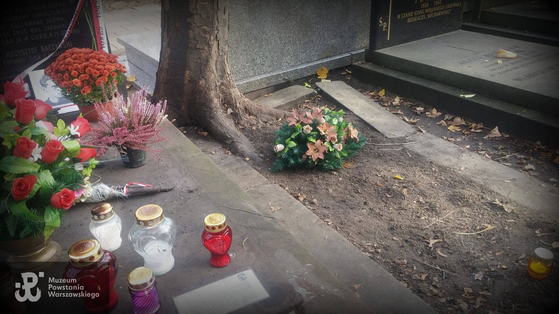 Cmentarz Wojskowy na Powązkach, kwatera A22-2-24- pogarszający się stan grobu, do którego przyczynia się duża ilość osób odwiedzających sąsiedni grób poety Krzysztofa Kamila Baczyńskiego i jego żony Basi. Zdjęcie wykonane 1.08.2018. Fot. Ewa Żmudzka, udostępnił p. Jan Wawszczyk