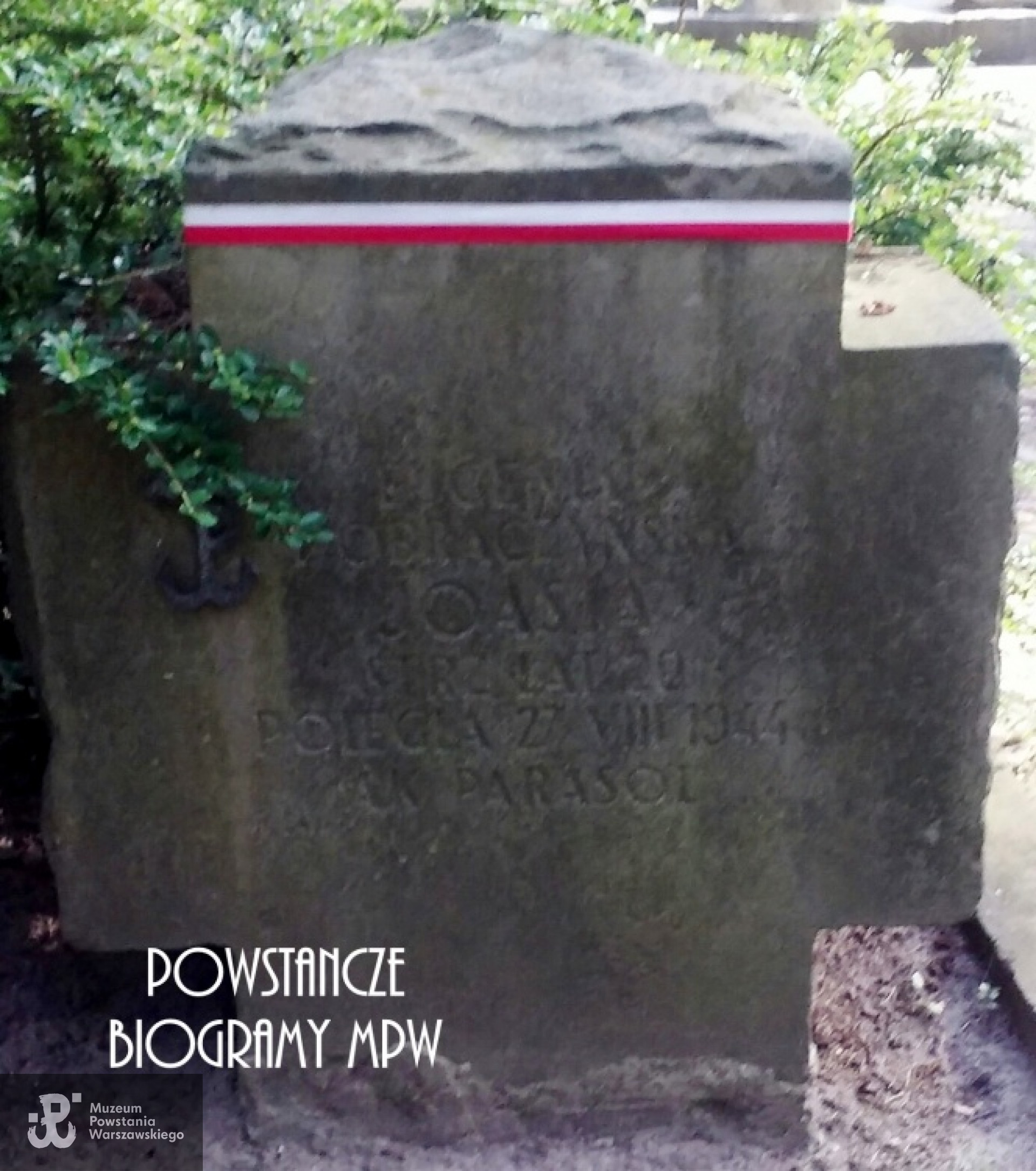 Fot. udostępnione przez Magdalenę Ciok