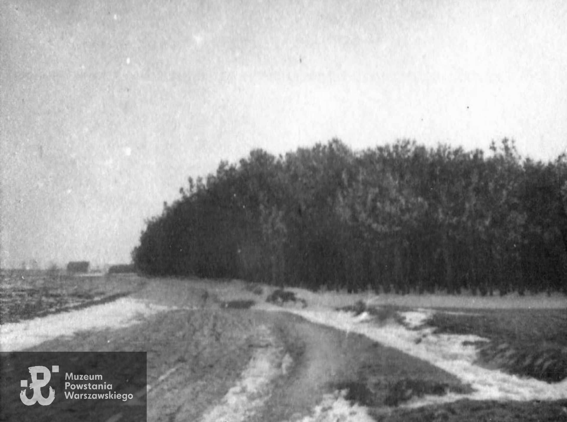 Pole pod Skierniewicami - miejsce, w pobliżu którego Kazimierz Hrebnicki został zamordowany przez Niemców w sierpniu 1944 r.