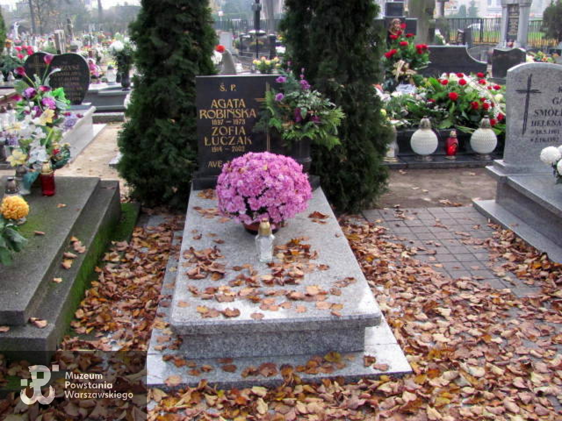 Źródło: www.krotoszyn36.grobonet.com