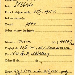 Polski Czerwony Krzyż - kartoteka