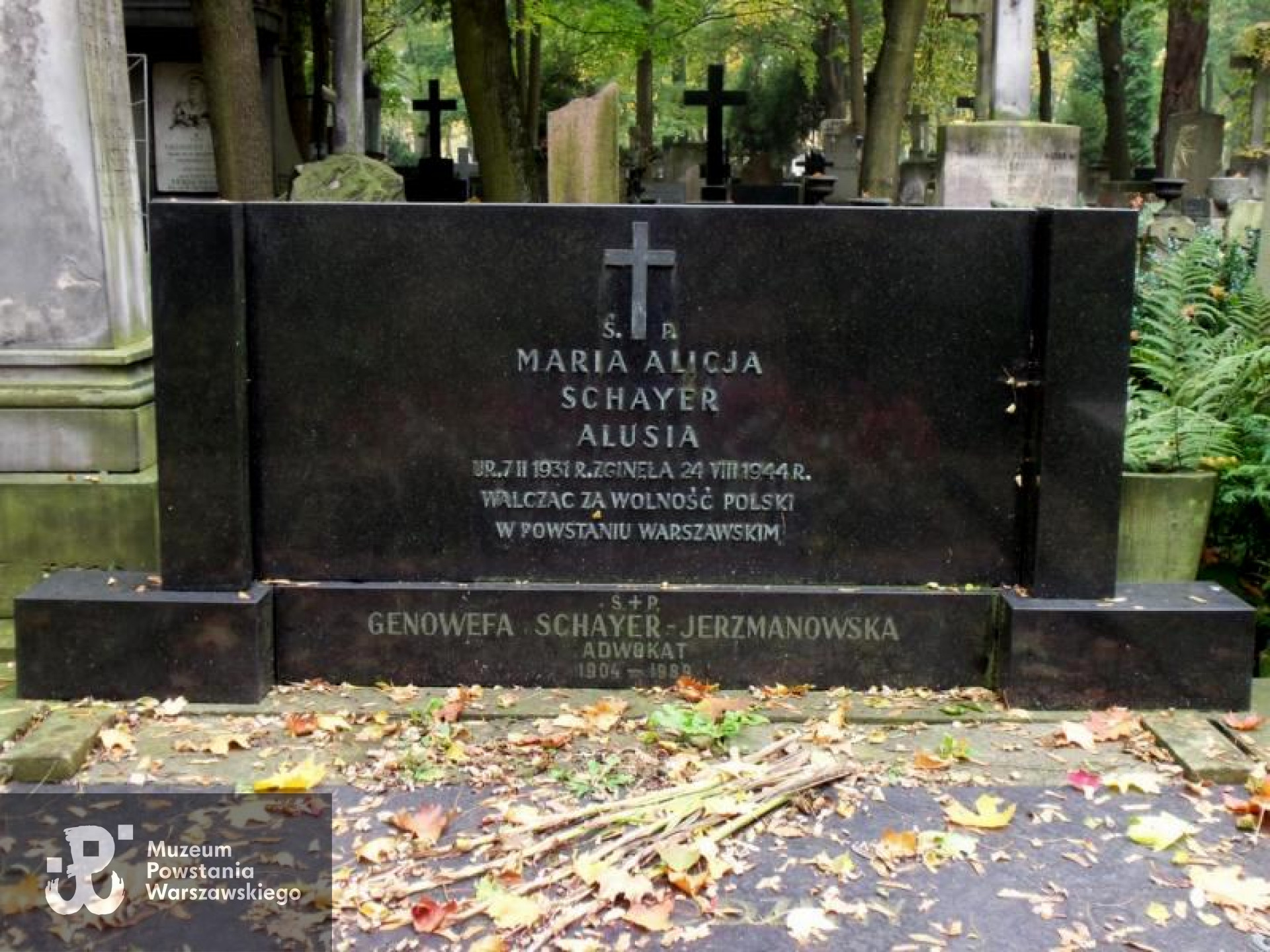 Fot. Warszawskie Zabytkowe Pomniki Nagrobne:  <i>cmentarze.um.warszawa.pl</i>