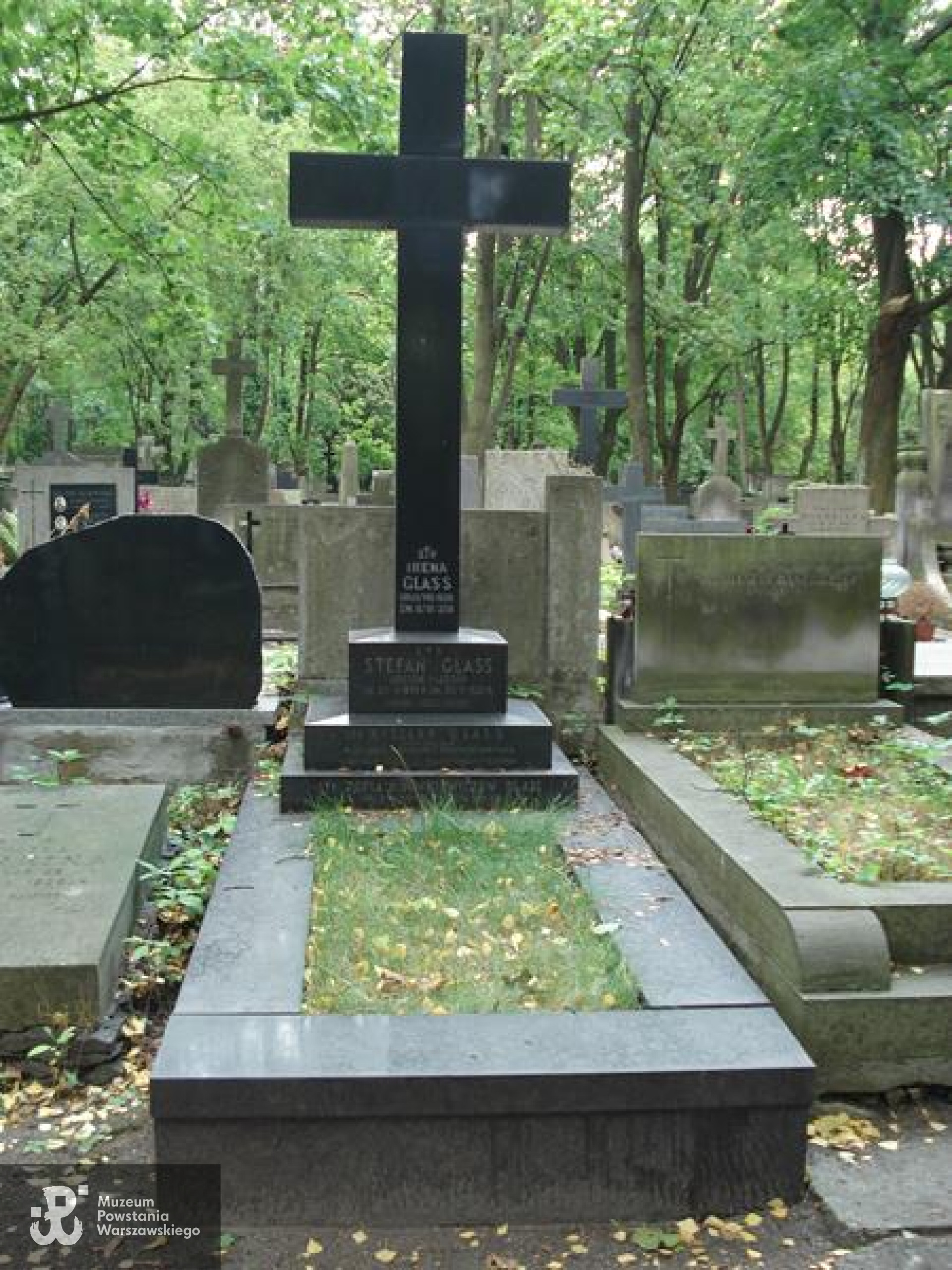 Cmentarz Powązkowski w Warszawie (Stare Powązki), kwatera  113, rząd 6, grób 13