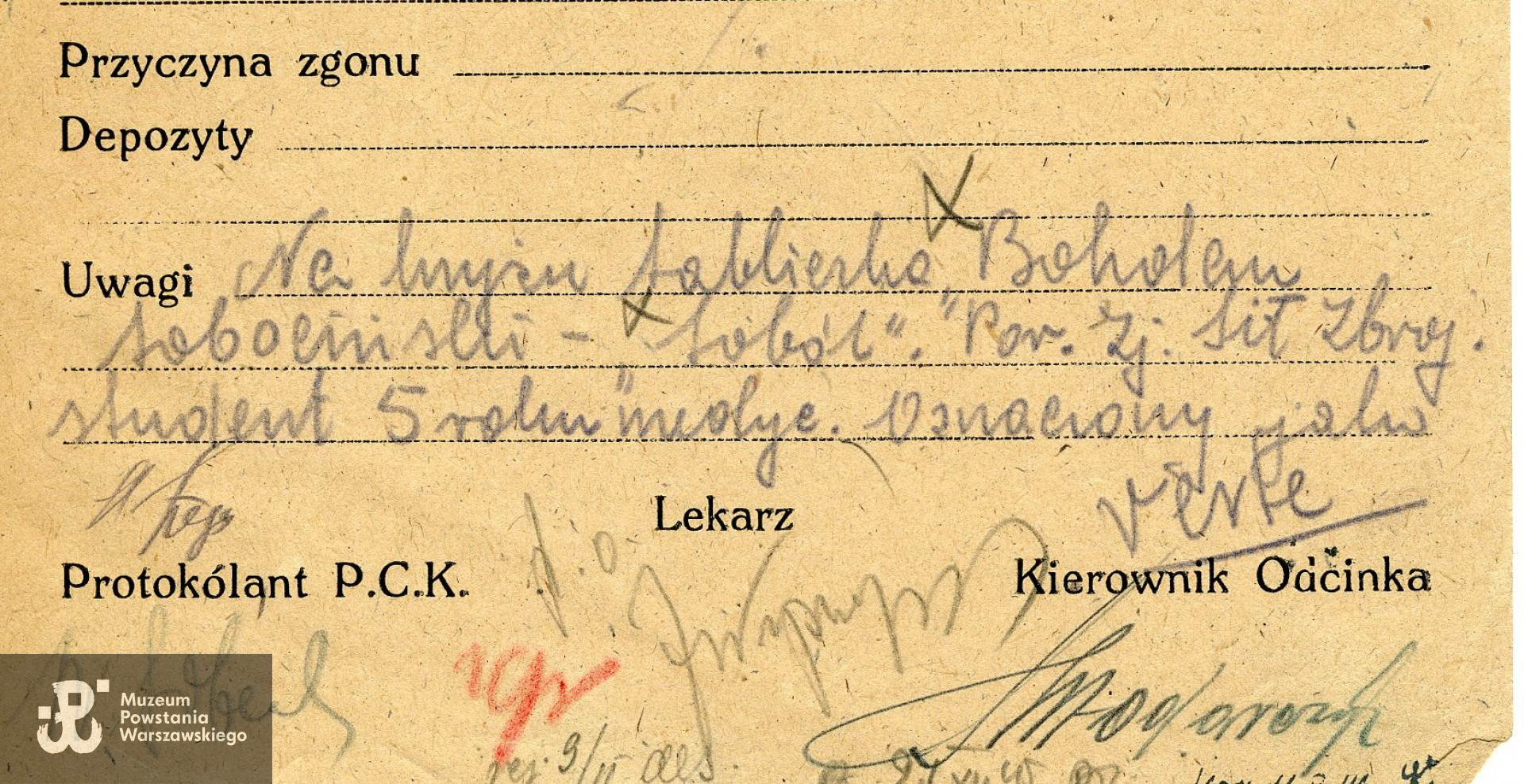 Polski Czerwony Krzyż  - Lista strat 4927. Zapis: student  V roku medycyny