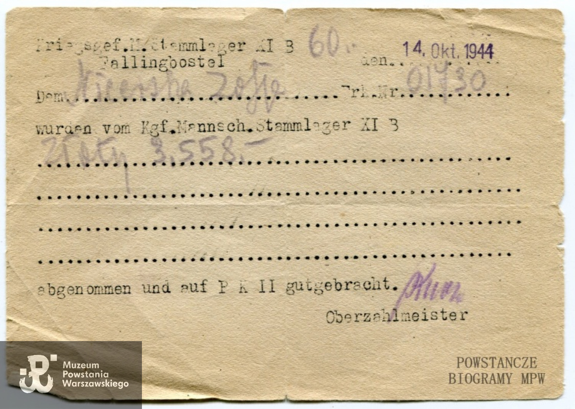 Dokument udostępniony przez p. Barbarę Mioduszewską-Caelles