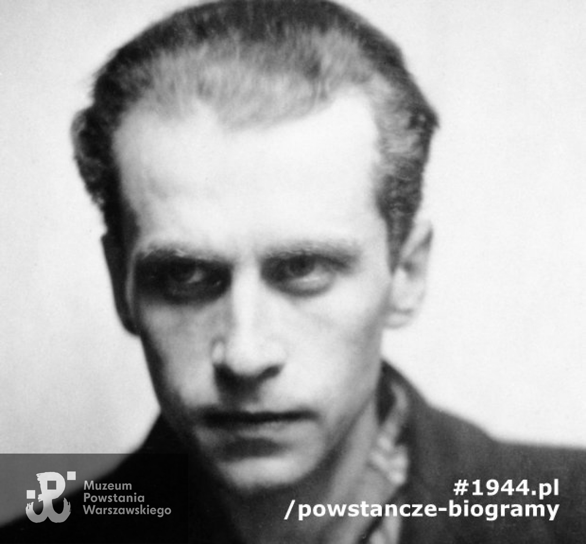 Fot.  materiały prasowe