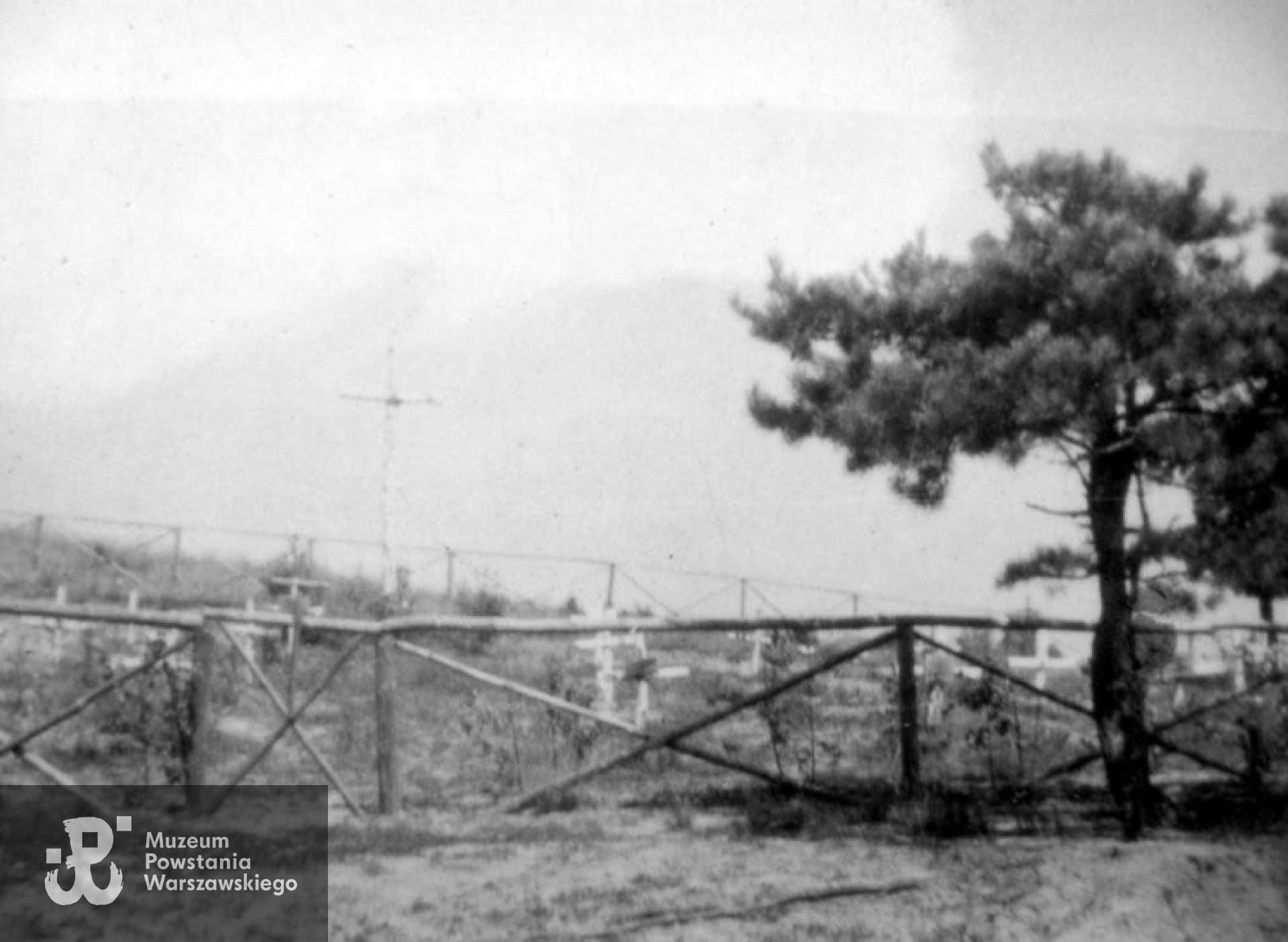 Cmentarz w Wierszach - 1946. Z archiwum Marka Kamionowskiego