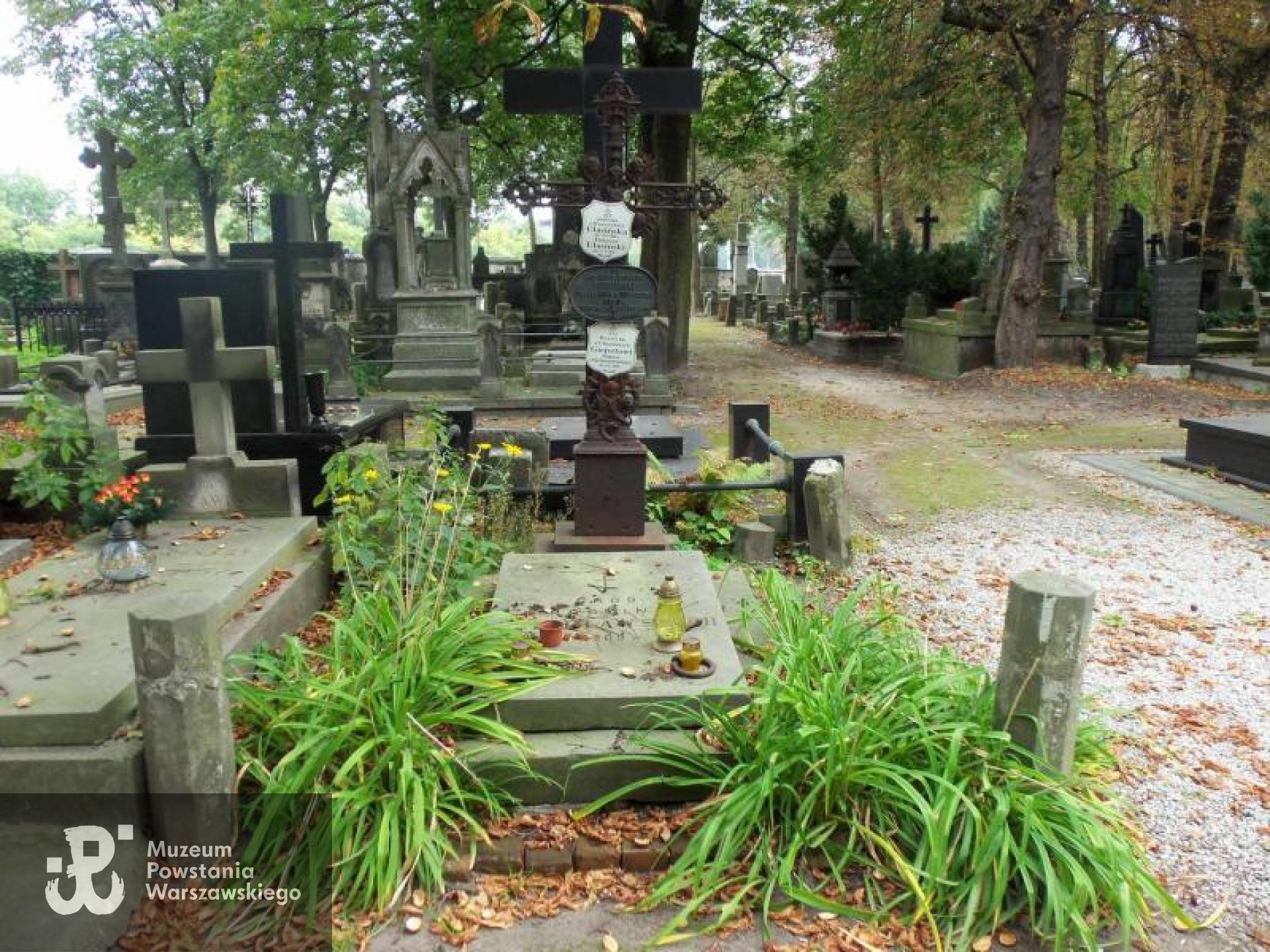 Cmentarz Powązkowski w Warszawie, kwatera Q, rząd 2, miejsce 12-13.