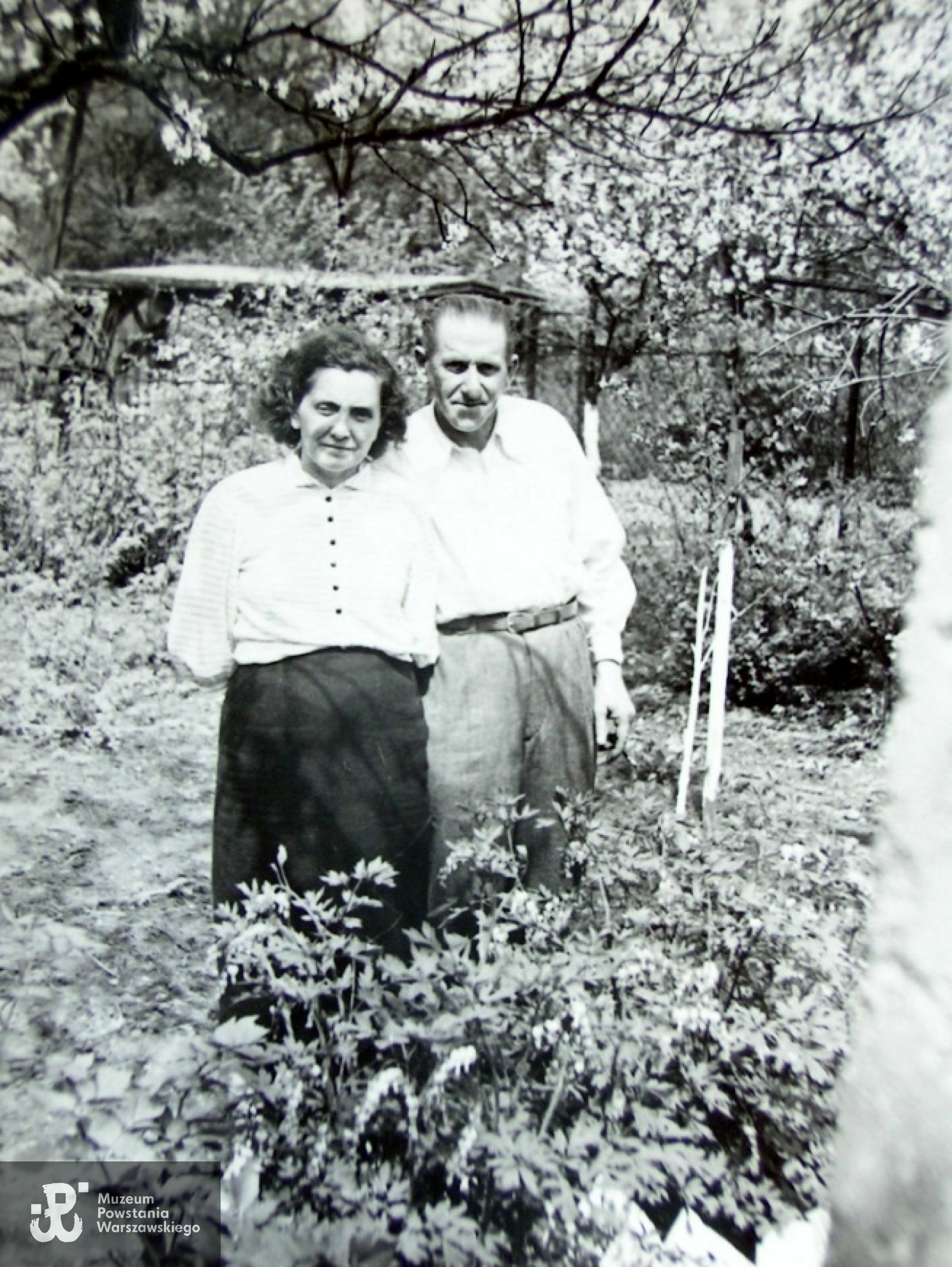 Fotografia powojenna, ze zbiorów rodzinnych. Udostępnił p.   Jakub Wiśniewski 