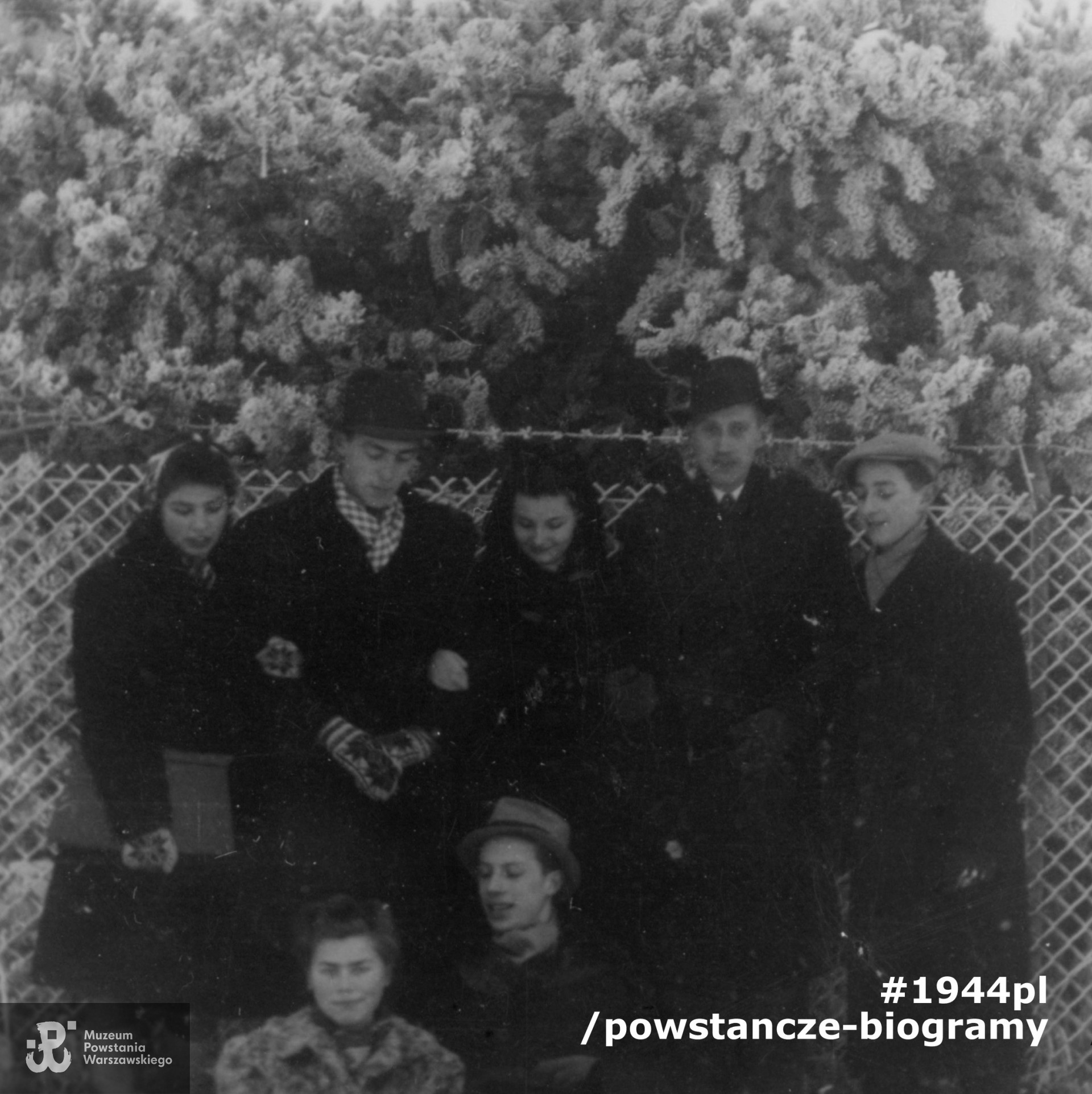 Fotografia z okresu okupacji niemieckiej (powiększony fragment szerszego ujęcia). Warszawa. Grupa znajomych podczas zimowego spaceru. Od lewej stoją: Anna Kanicka, Olgierd Budrewicz "Konrad", Hanna Kamler "Kama", Kazimierz Skrobik „Koń”, Wiktor Natanson „Humięcki”, u dołu siedzą: Alicja Natanson "Pies",   i Mieczysław Skrobik "Zawada". Fot. ze zbiorów Muzeum Powstania Warszawskiego, sygn. MPW-IP/6321/182, kolekcja Olgierda Budrewicza pseud. "Konrad"  