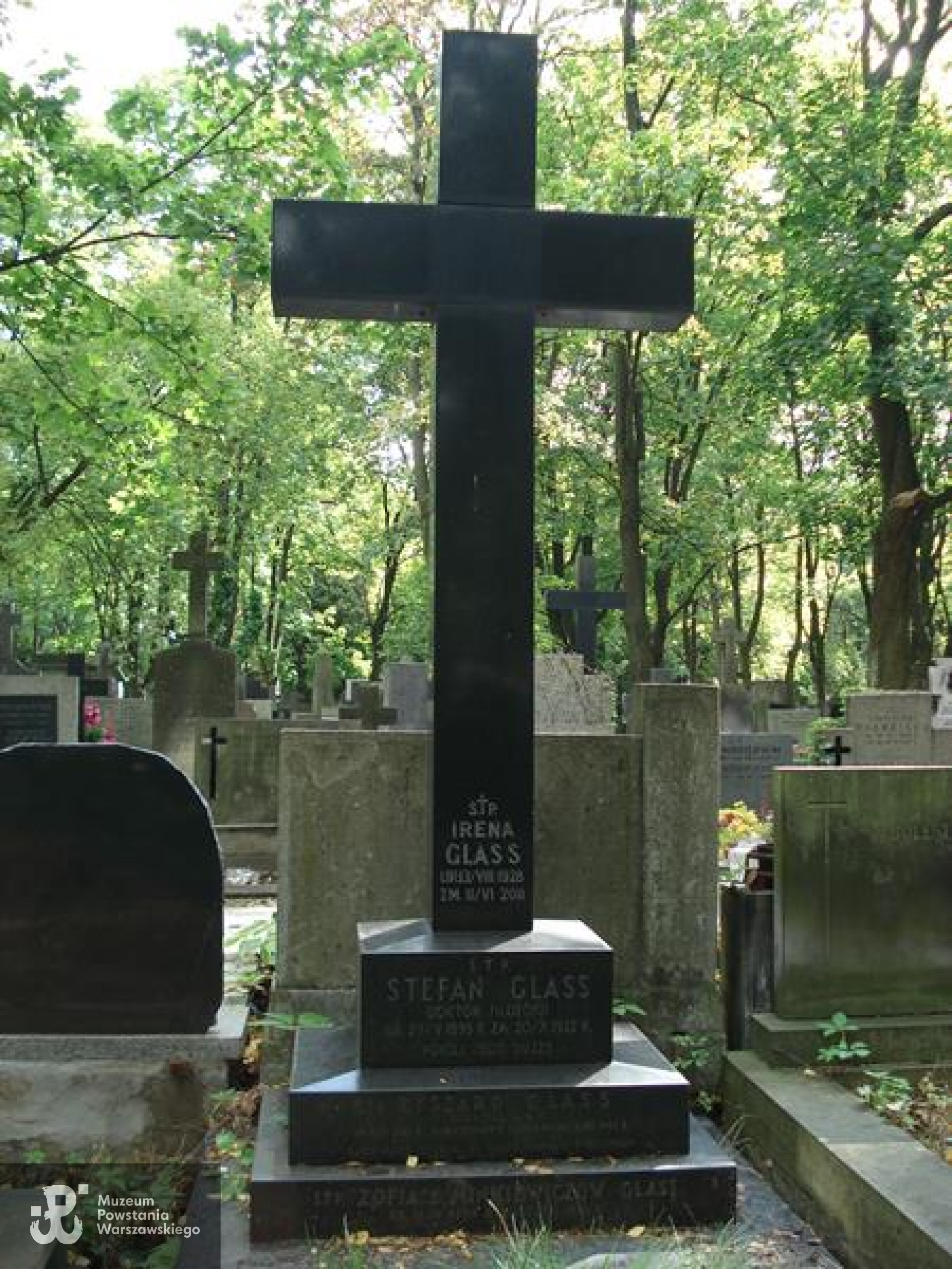 Cmentarz Powązkowski w Warszawie (Stare Powązki), kwatera  113, rząd 6, grób 13
