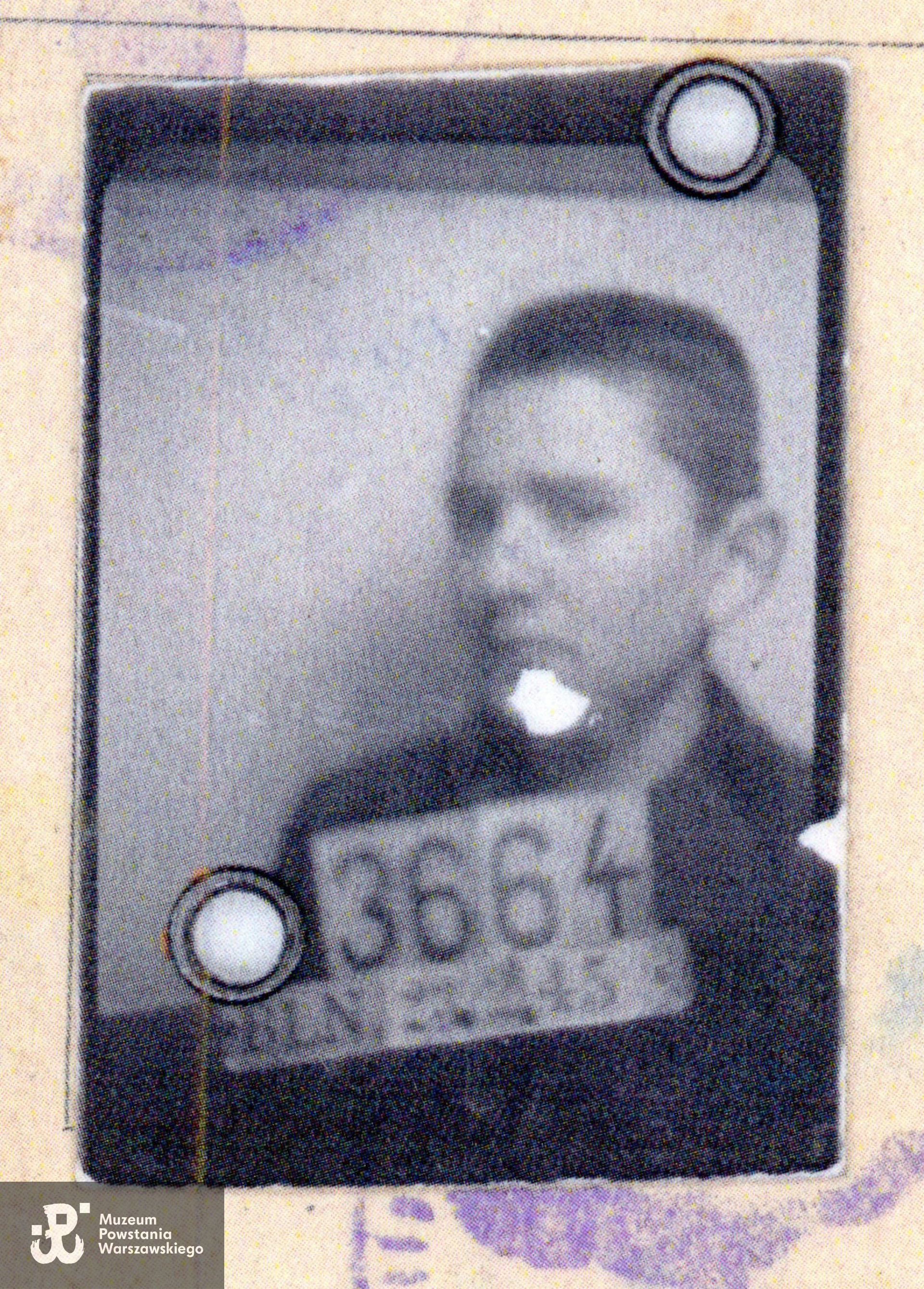 Bogdan Bartnikowski "Mały" - zdjęcie wykonane w lutym 1945 roku w obozie pracy Blankenburg - Berlin. Skan z kserokopii, zbiory prywatne p. Bogdana Bartnikowskiego