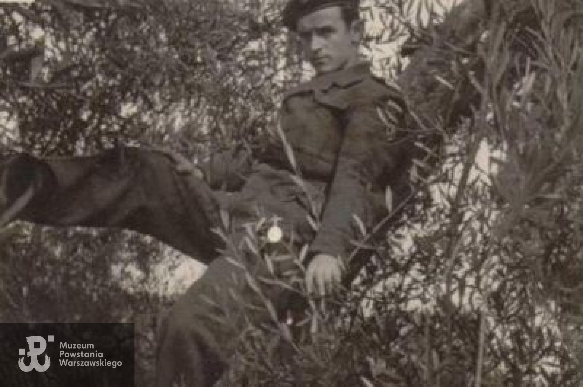 Fot. udostępnił Przemysław Czarnocki